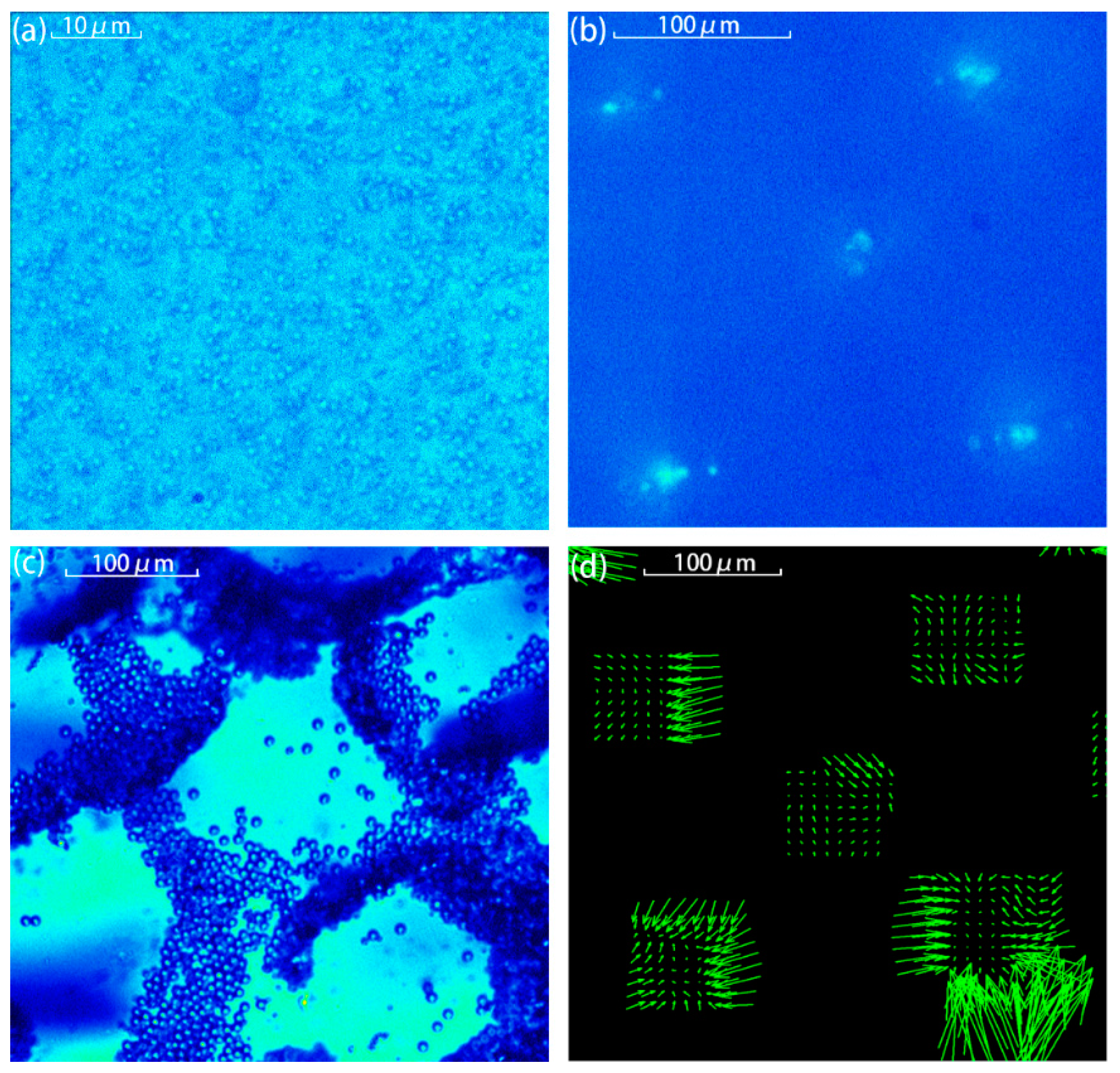 Sensors 17 01664 g006 Sensors 17 01664 g006