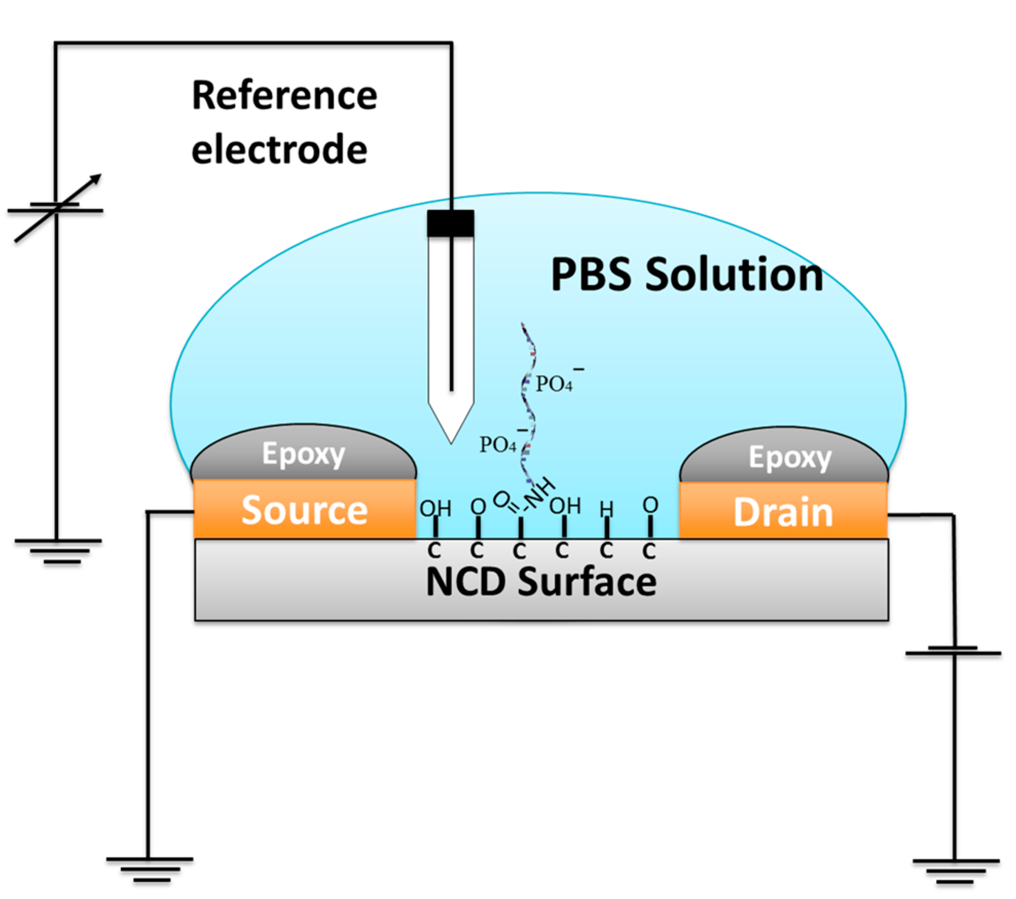 Sensors 17 01686 g002 550