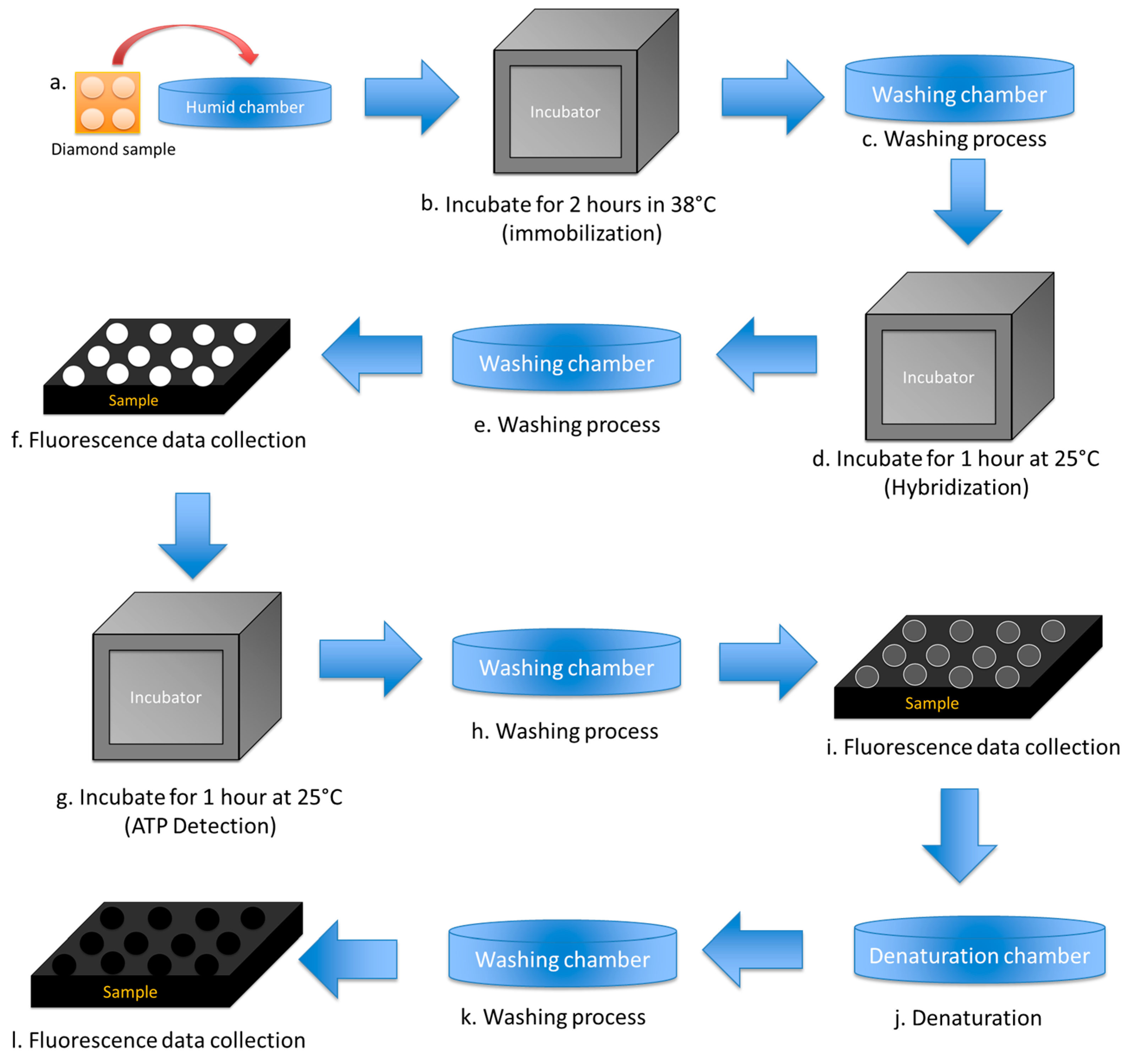 Sensors 17 01686 g003 550