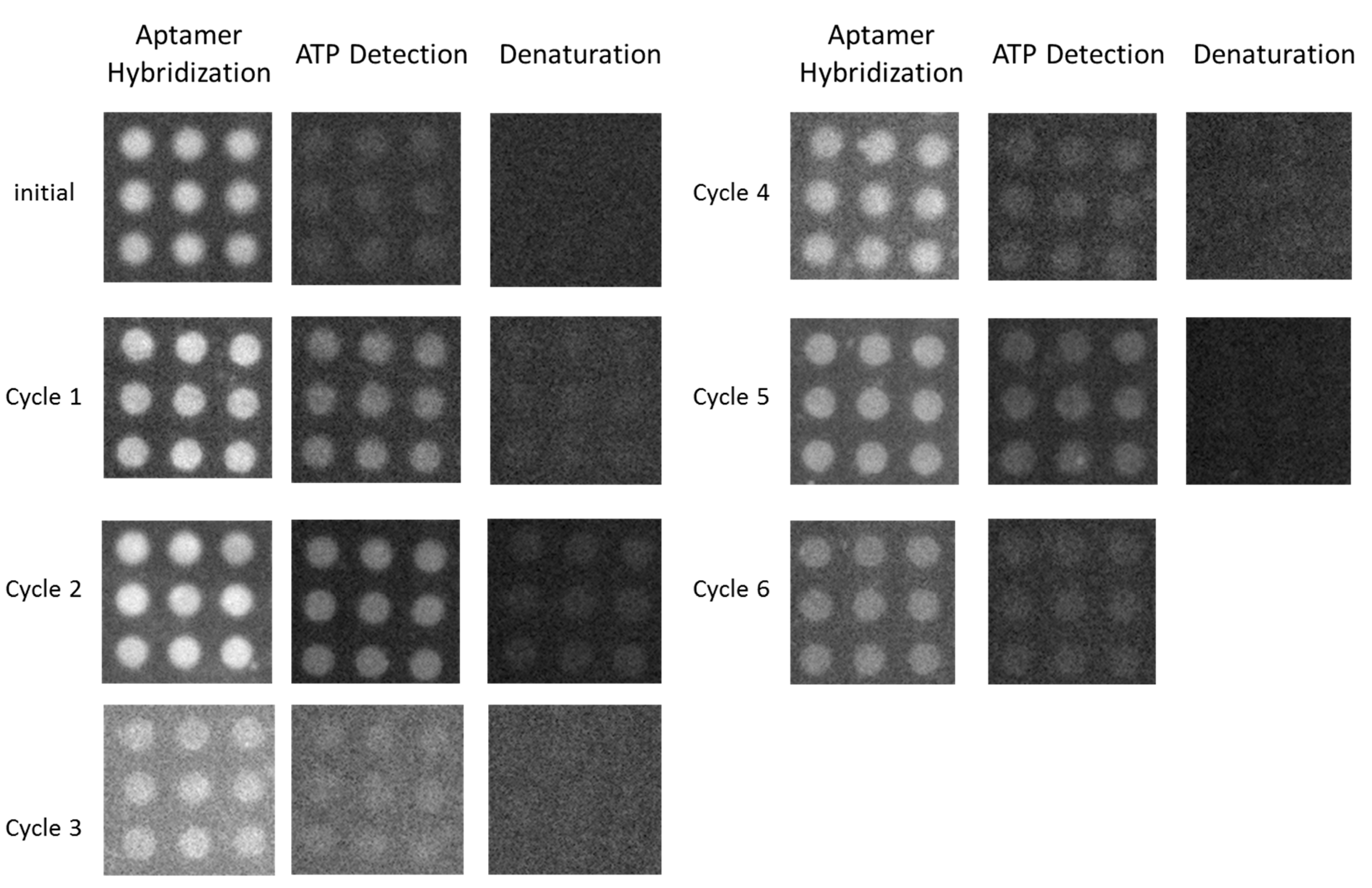 Sensors 17 01686 g009 550