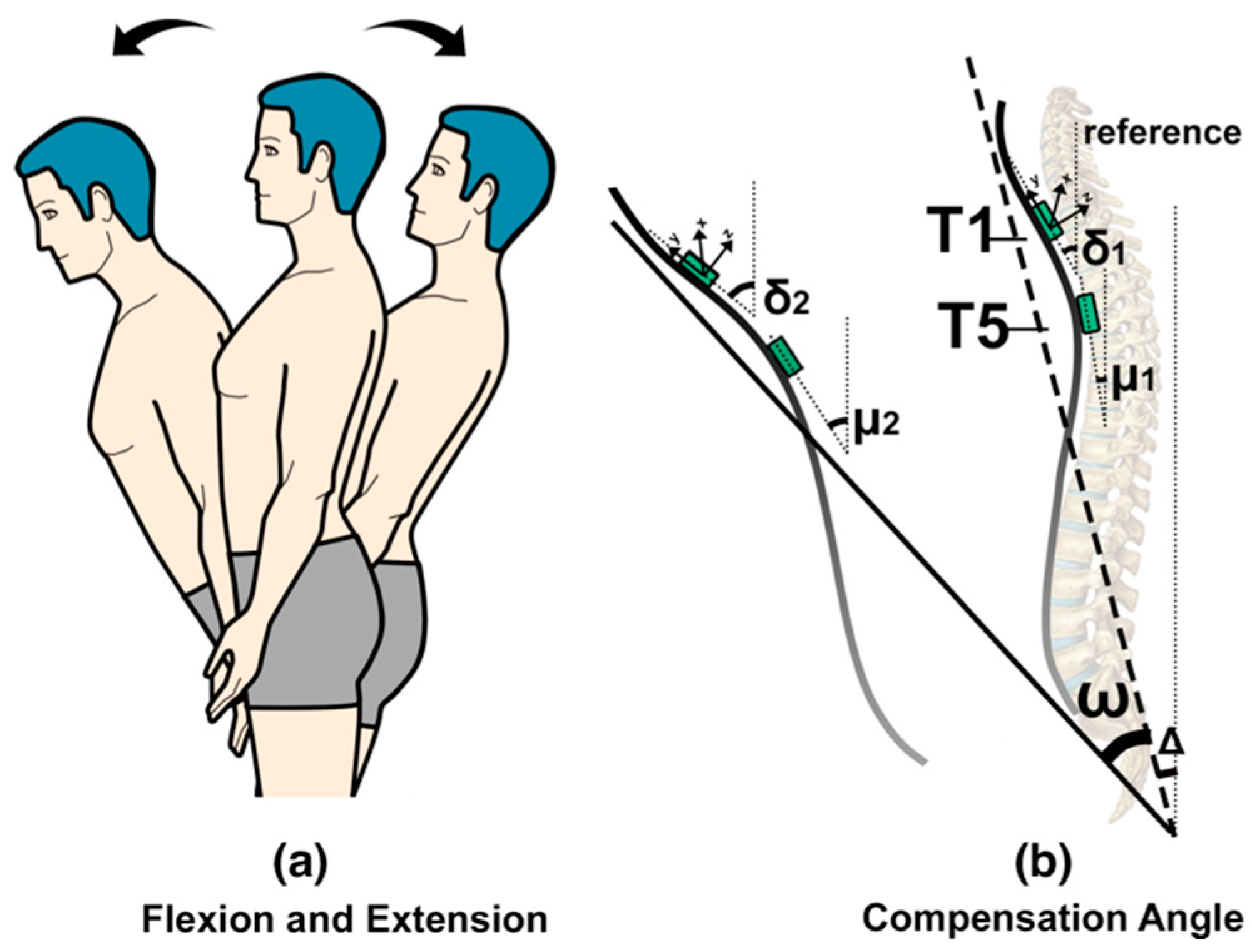 Shoulder Flexion D2 Extension