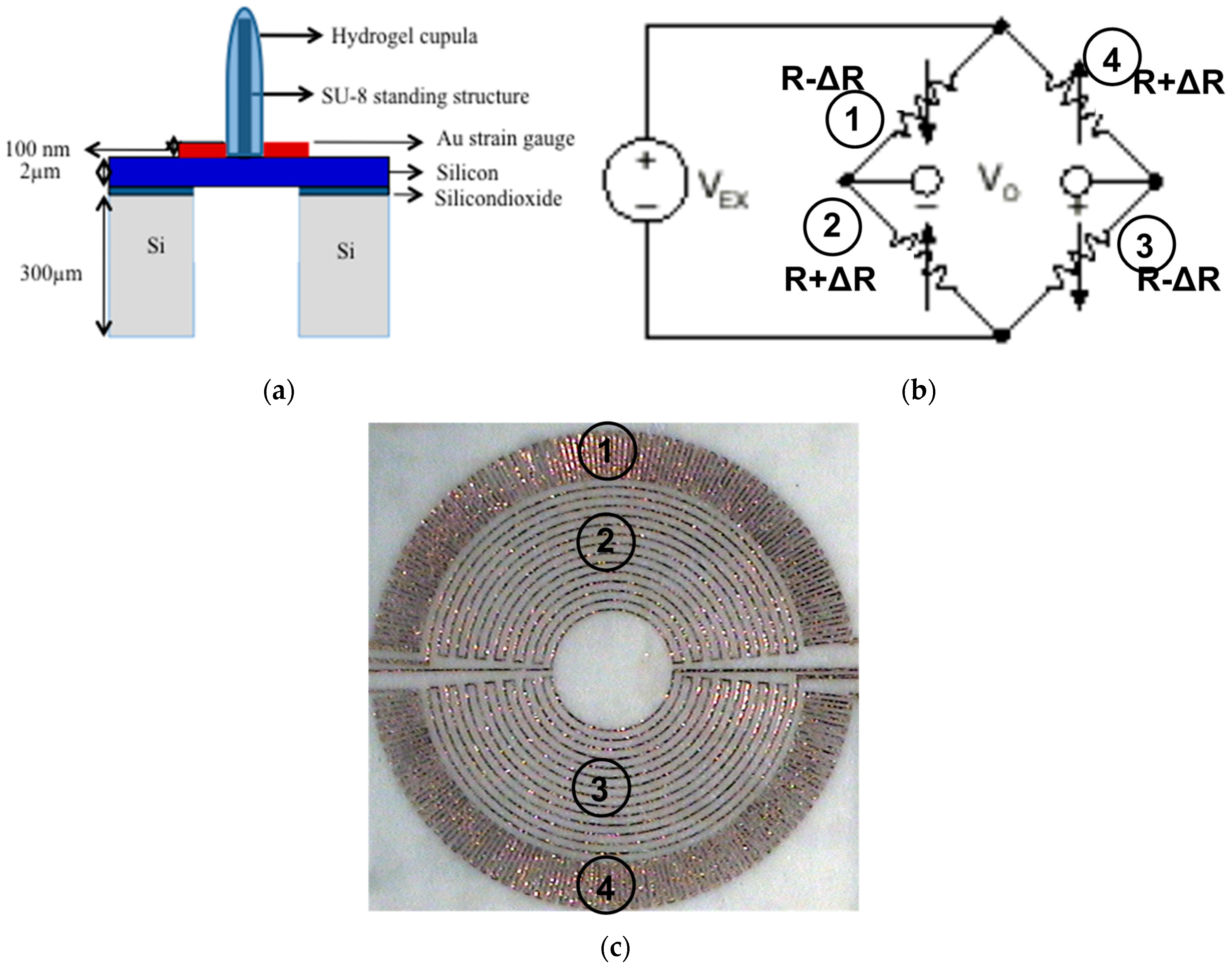 Sensors 17 01728 g002