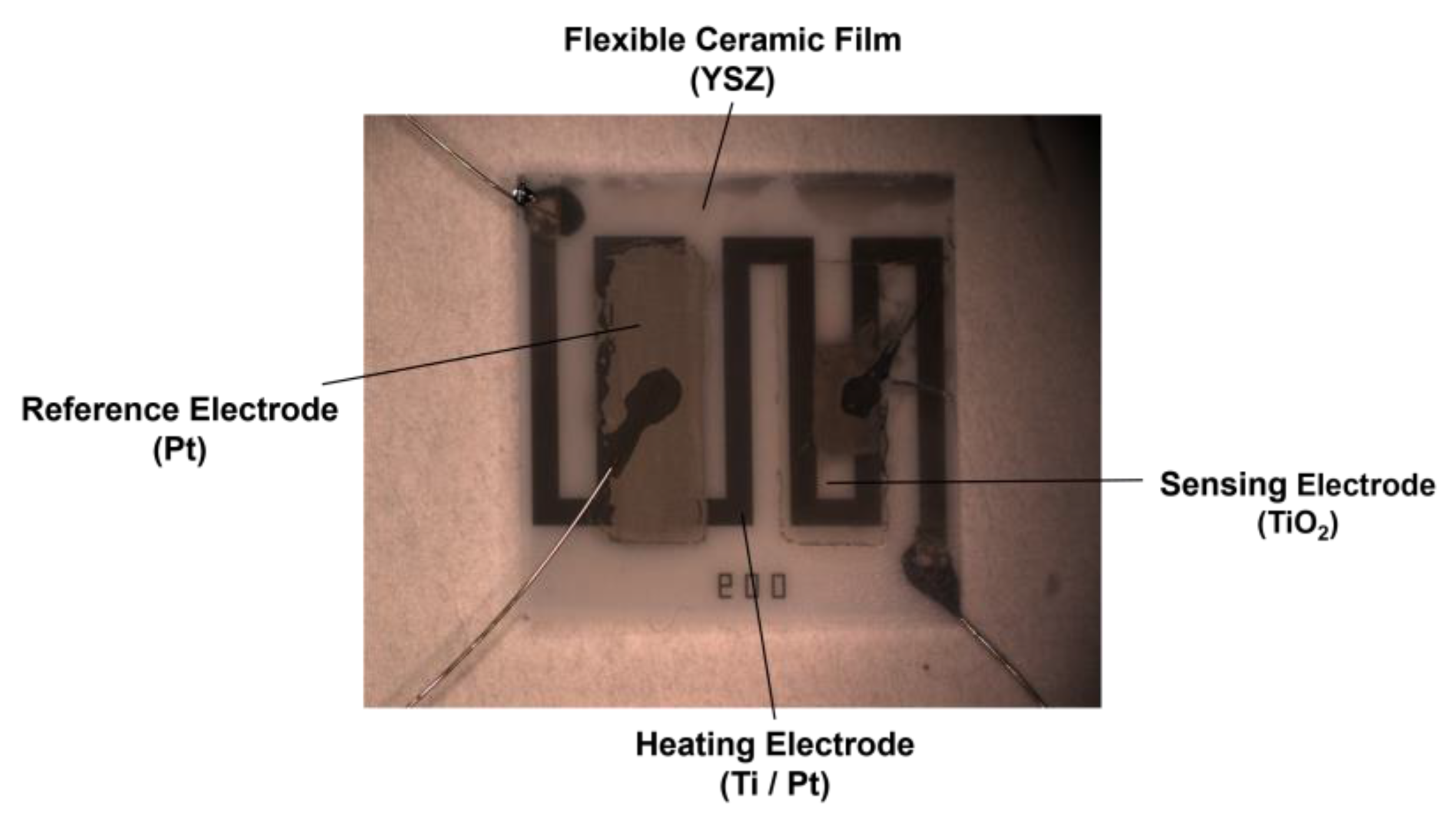 Sensors 17 01740 g007