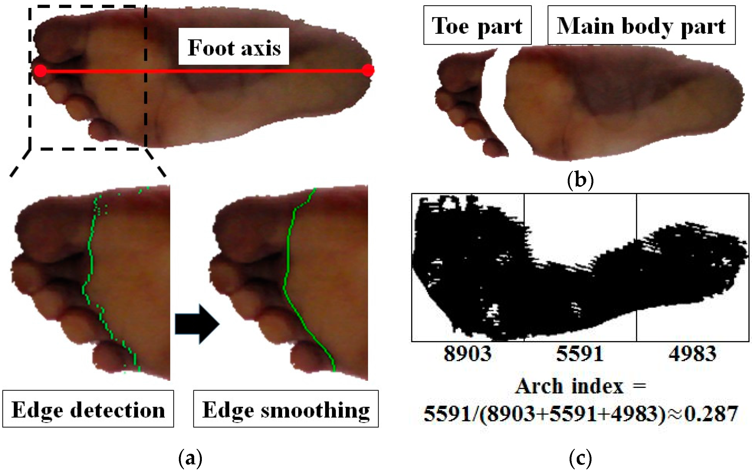 Measure foot deals arch