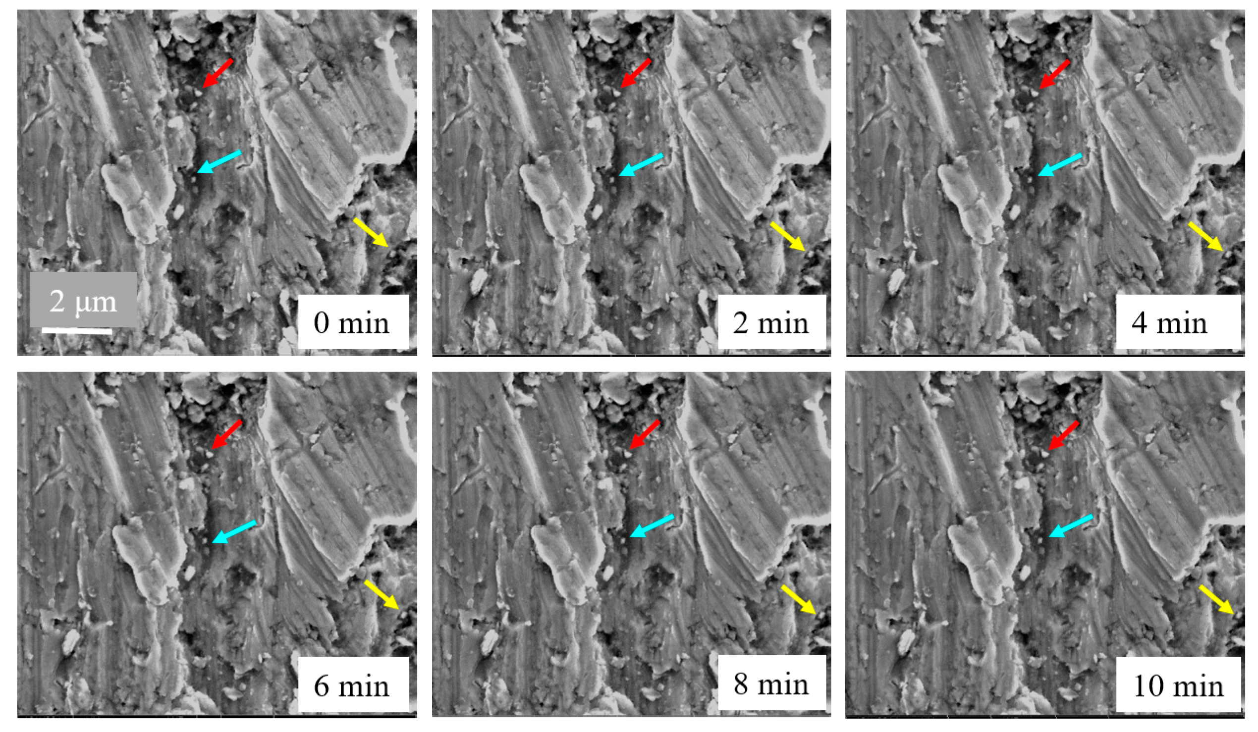 Sensors 17 01800 g007