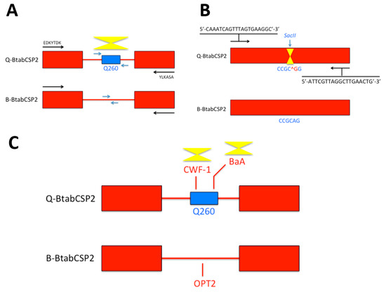 Genotyping and Bio-Sensing Chemosensory Proteins in Insects