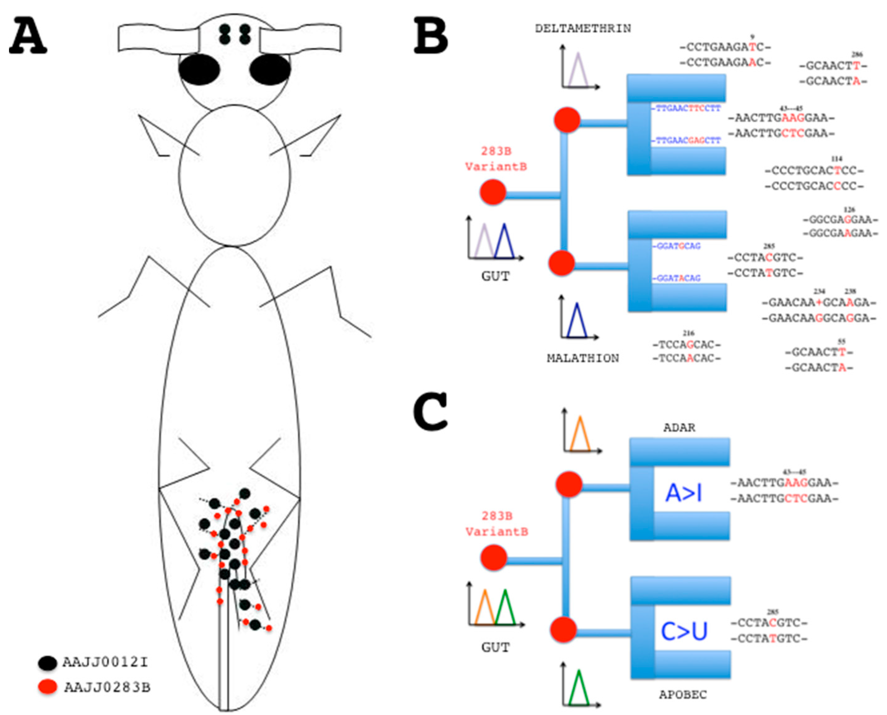 Sensors 17 01801 g003 Sensors 17 01801 g003