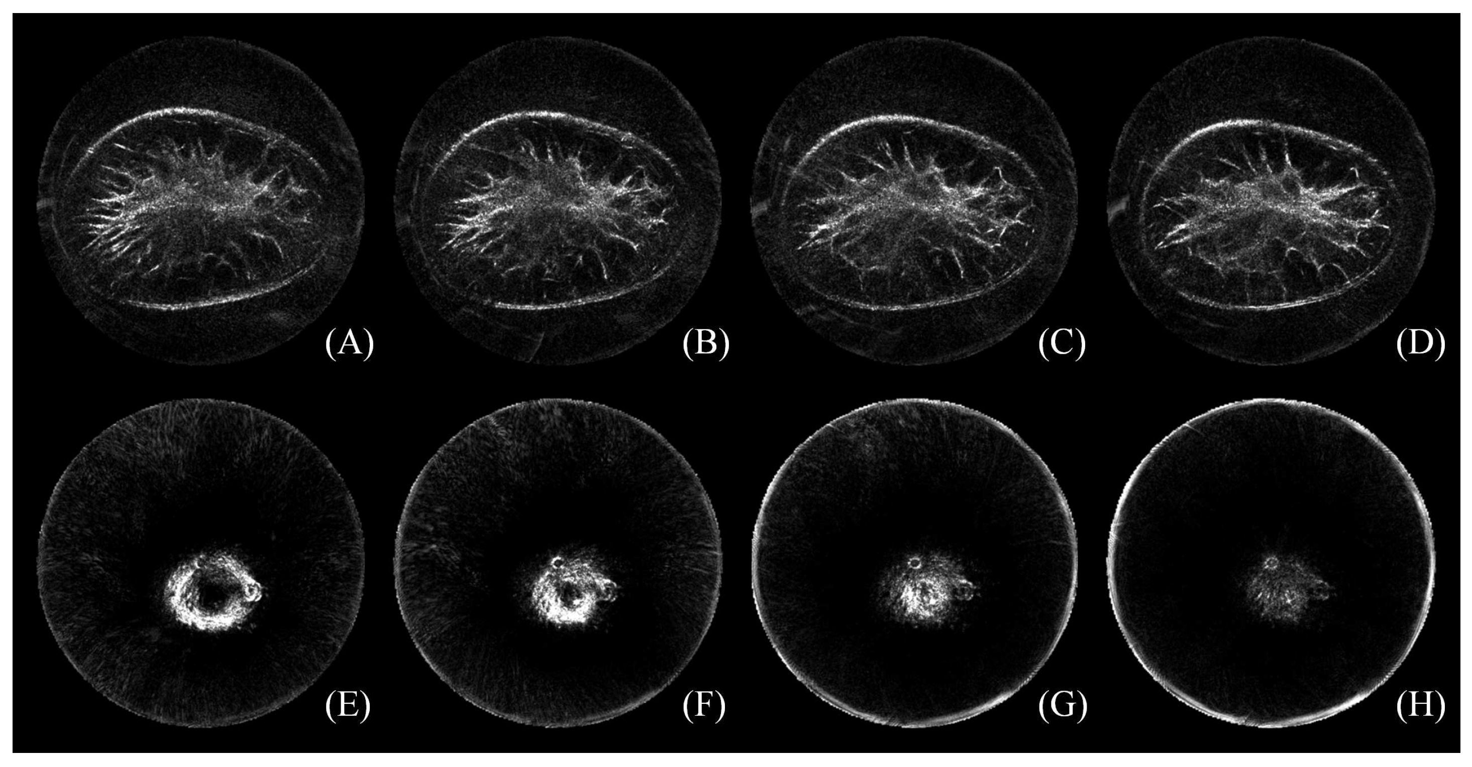 Sensors 17 01827 g002 Sensors 17 01827 g002