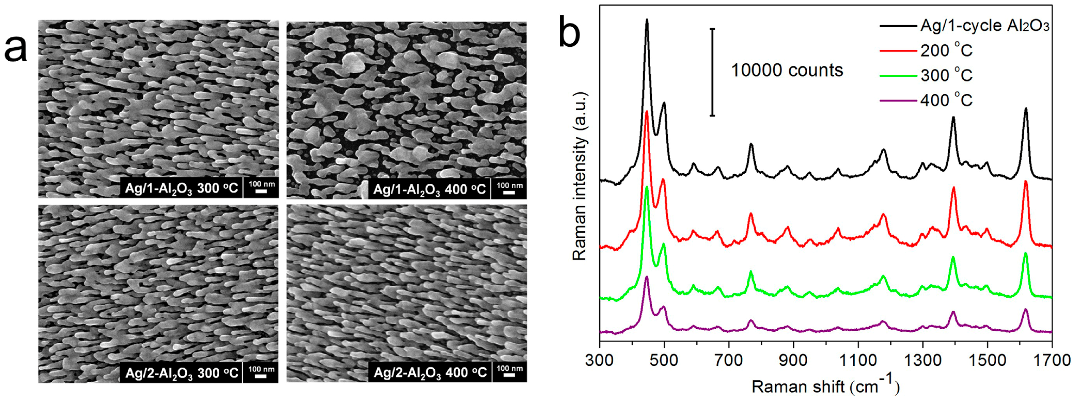 Sensors 17 01895 g003a