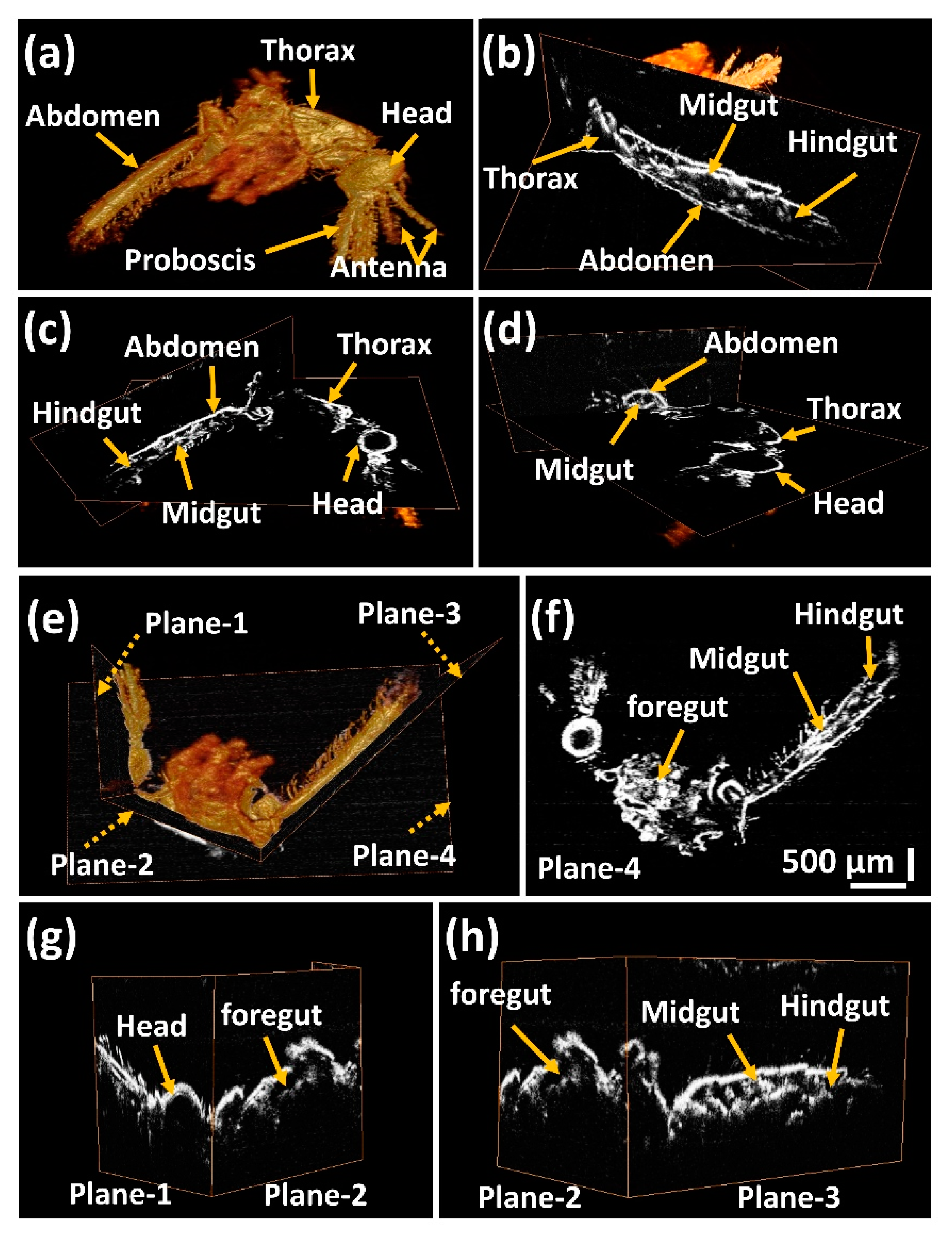 Sensors 17 01897 g003 Sensors 17 01897 g003