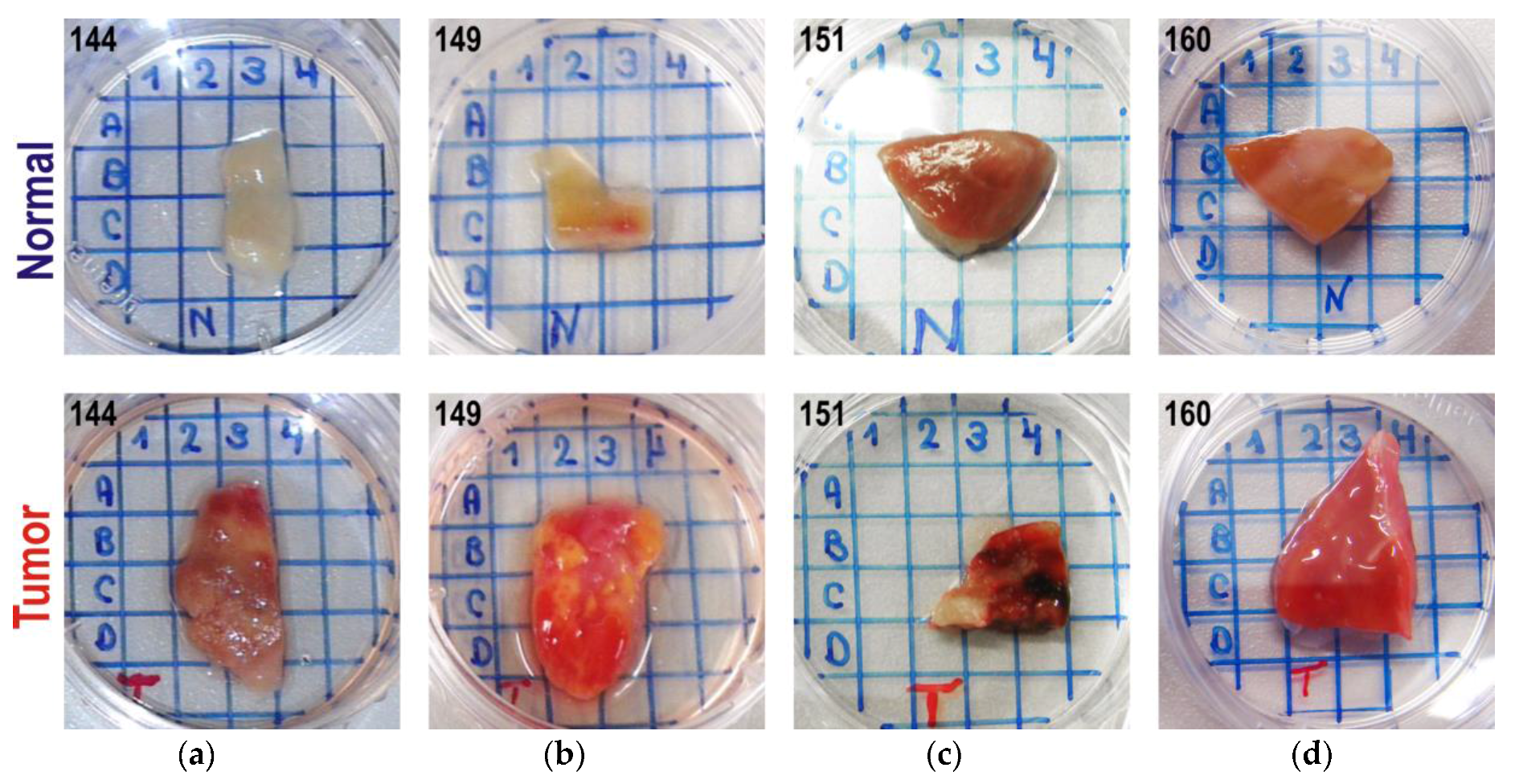 Sensors 17 01914 g002
