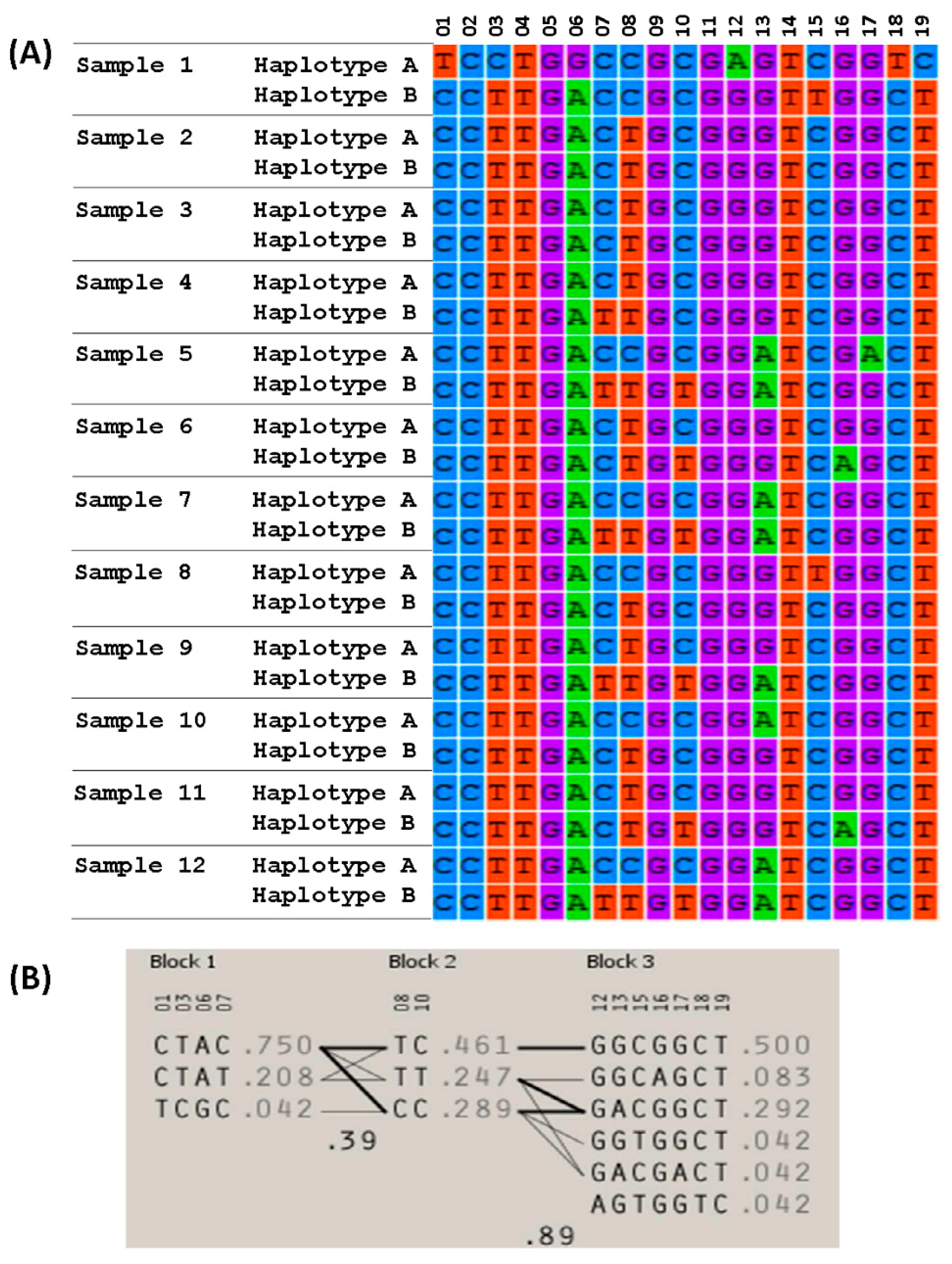 Sensors 17 01920 g003 550