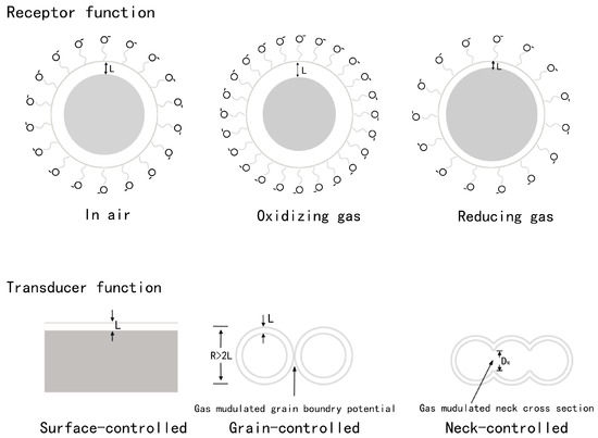 k TiO2-Based Nanoheterostructures for Promoting Gas