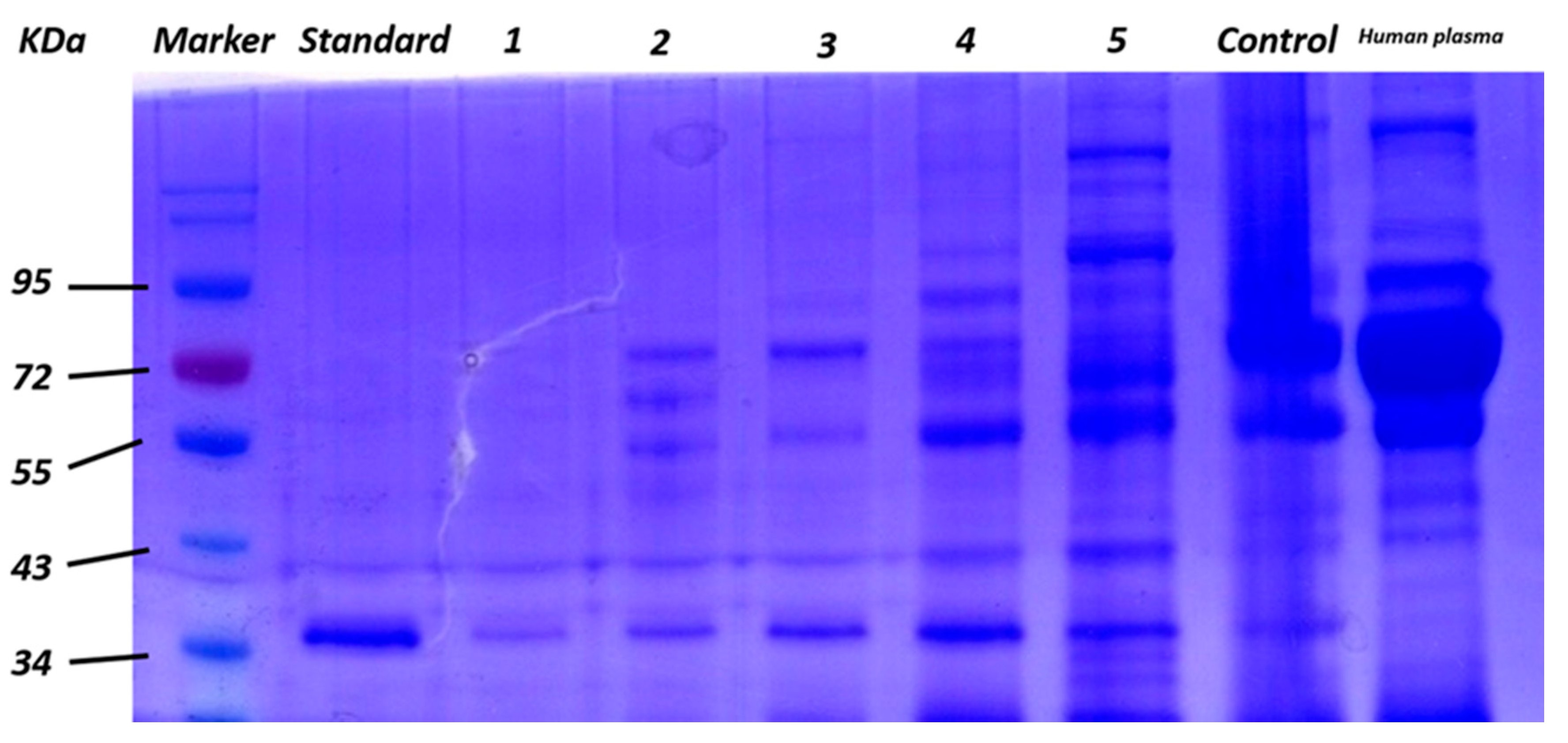 Sensors 17 01986 g006 550