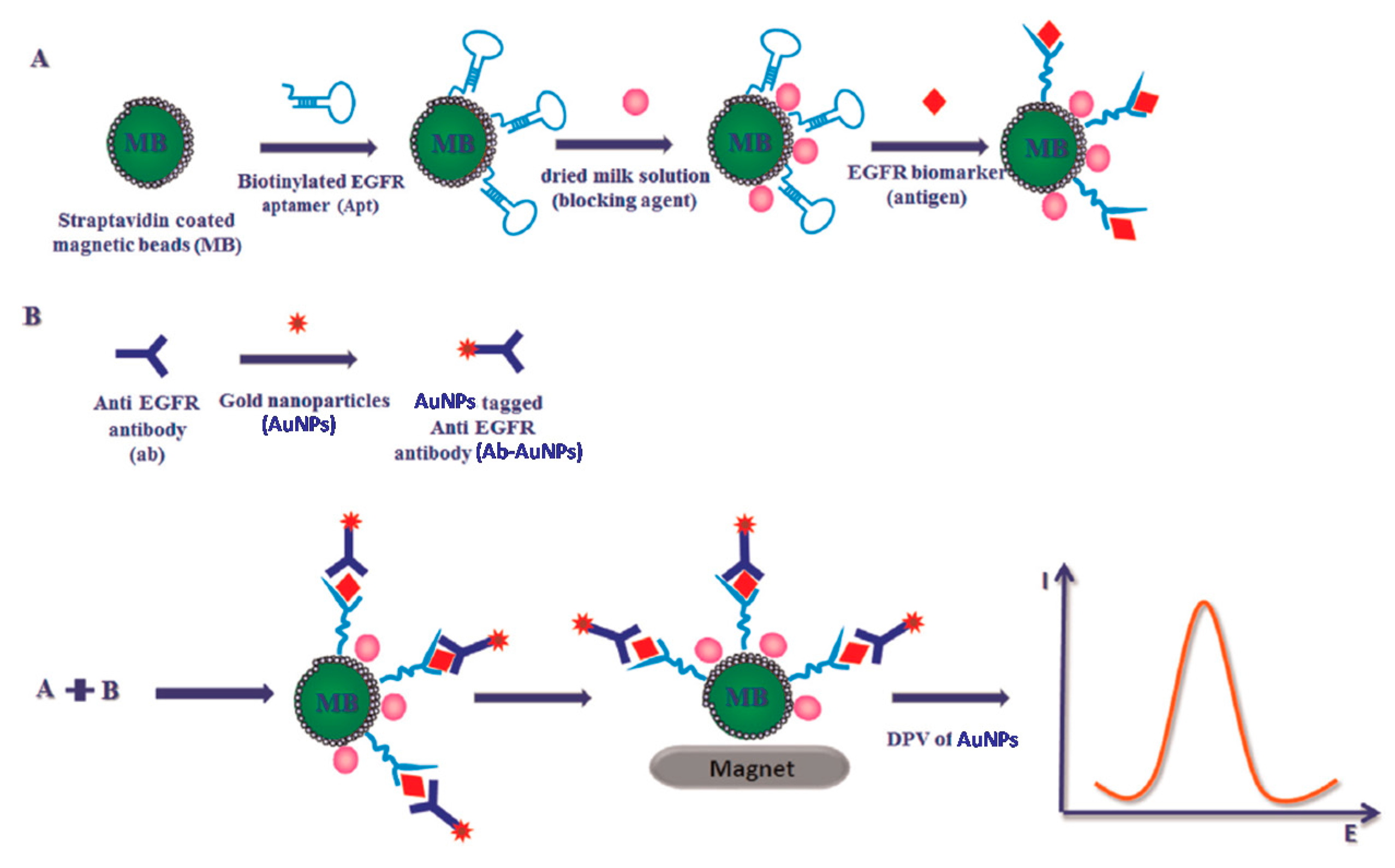 Sensors 17 01993 g005
