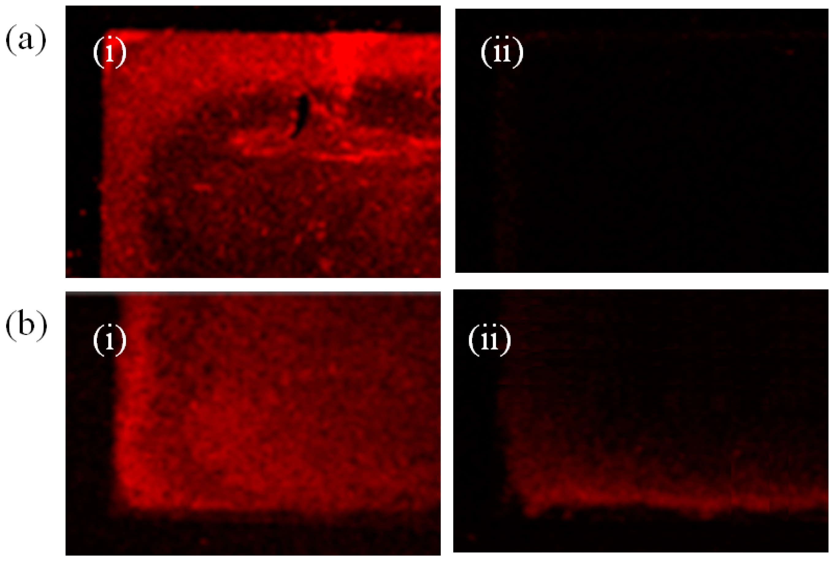 Sensors 17 02044 g006 550