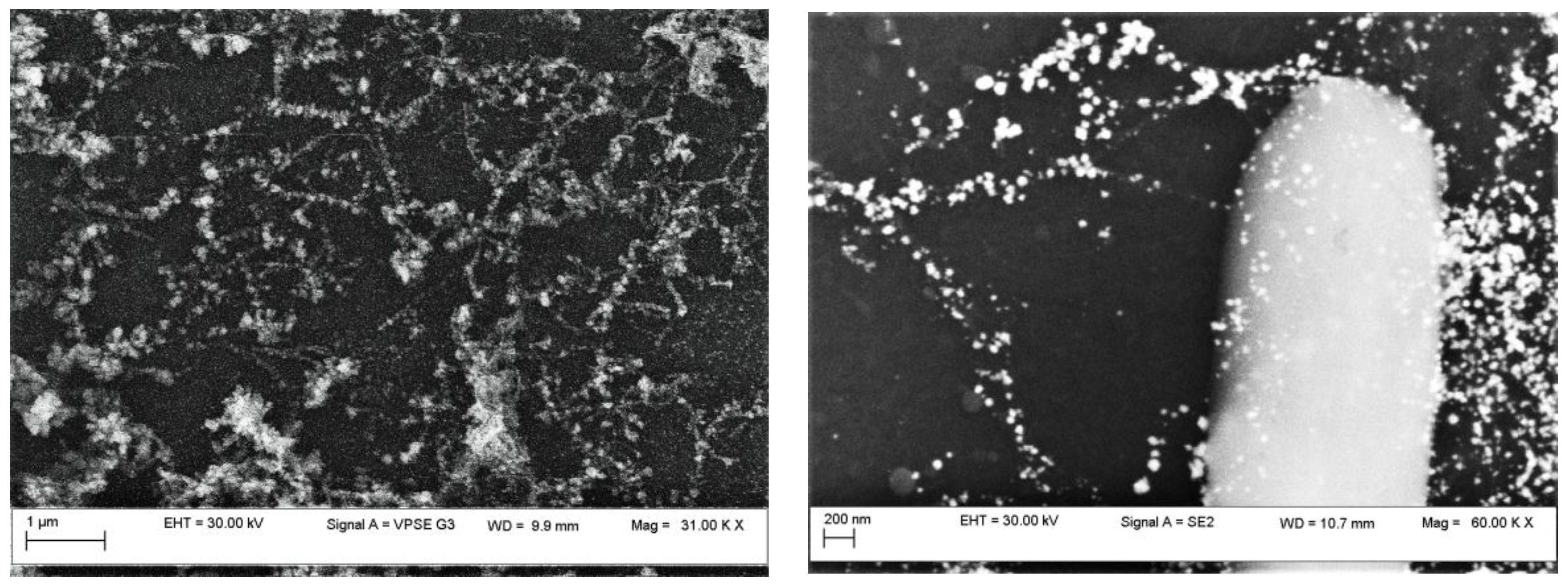 Sensors 17 02071 g003