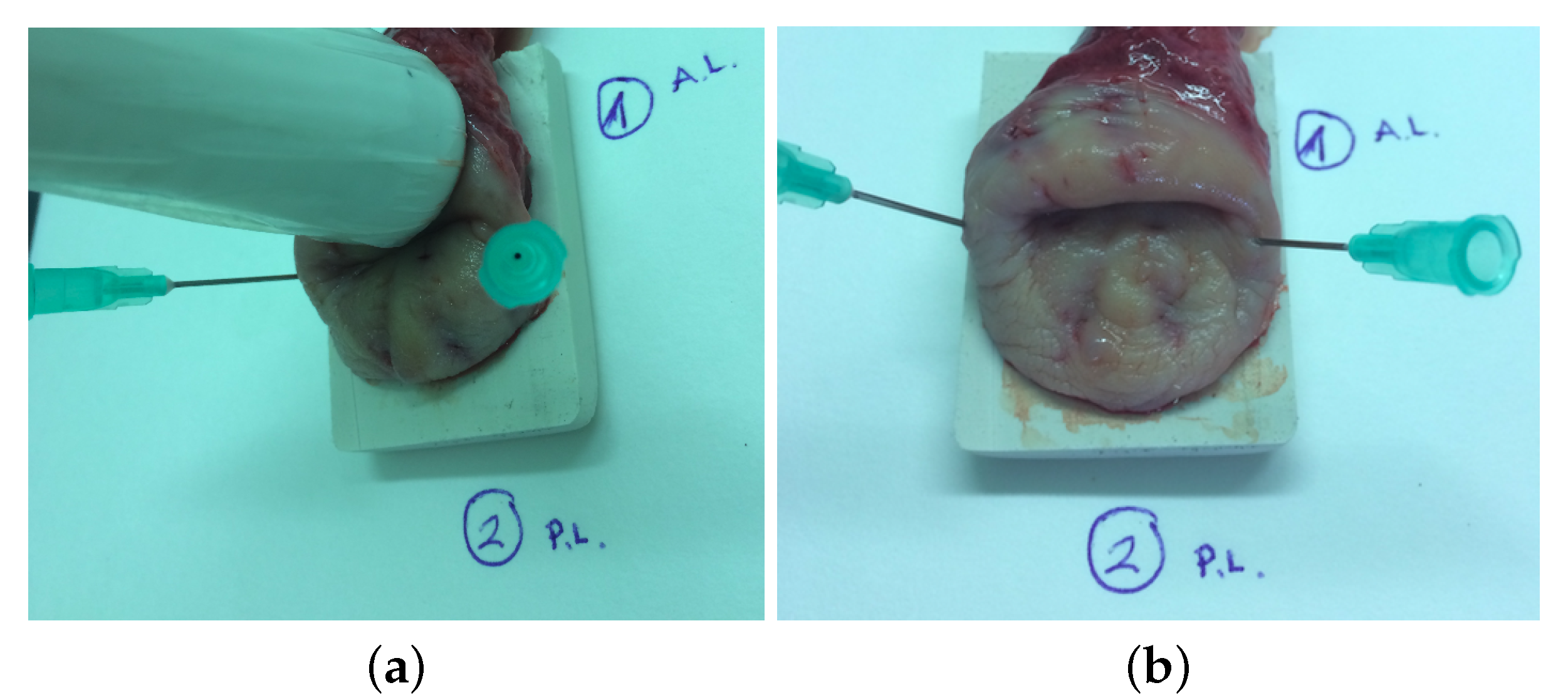 Sensors 17 02078 g004