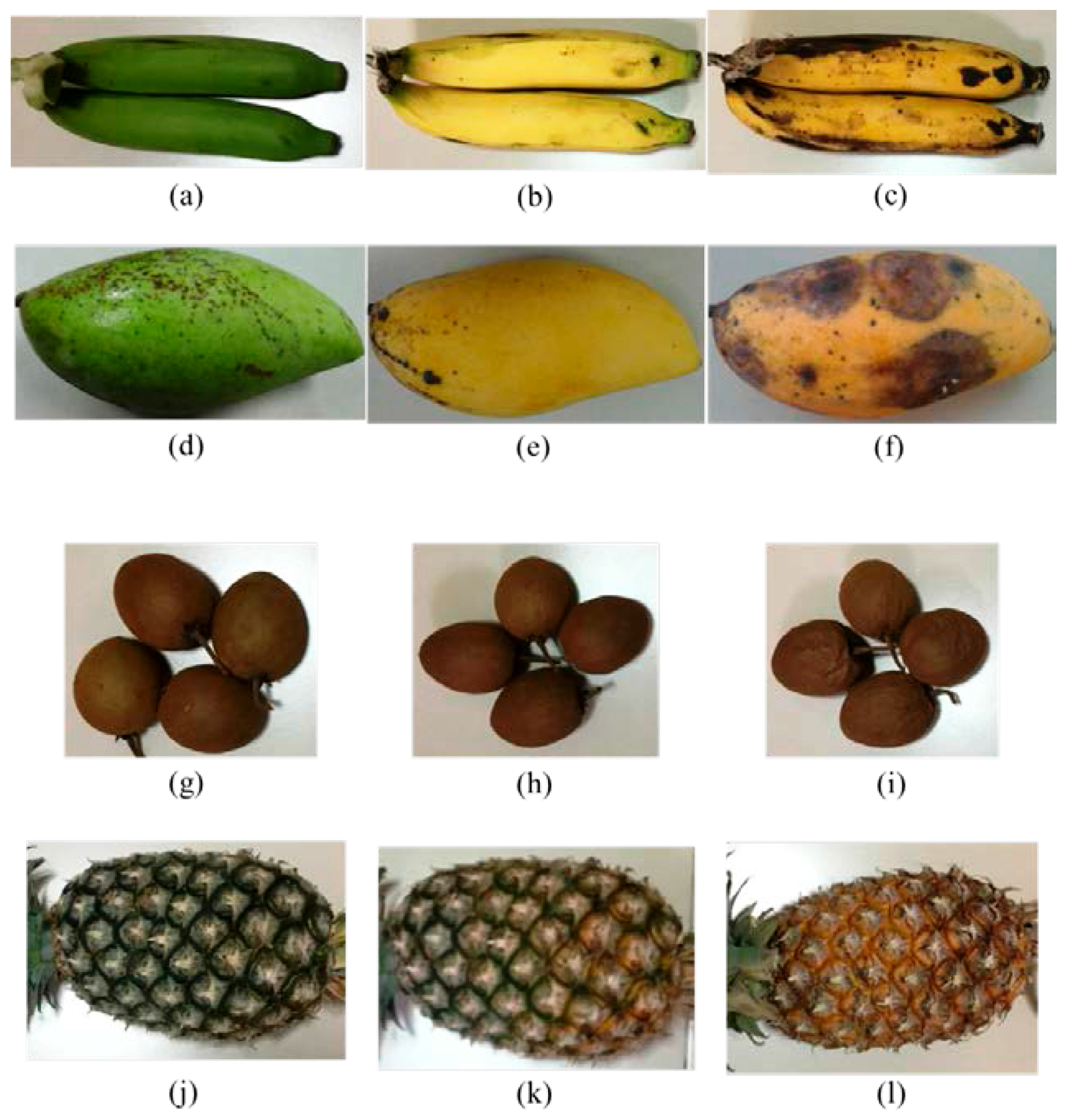 Sensors 17 02089 g002 550