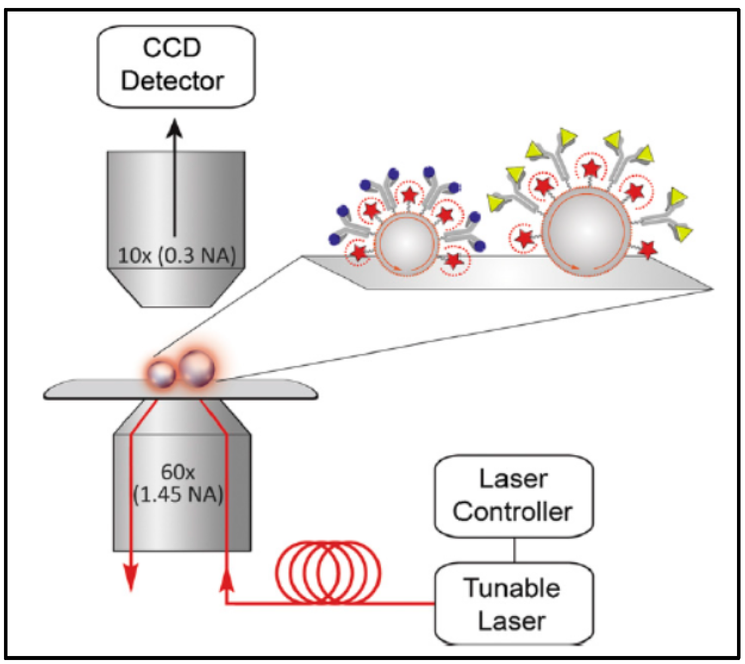 Sensors 17 02095 g012 550