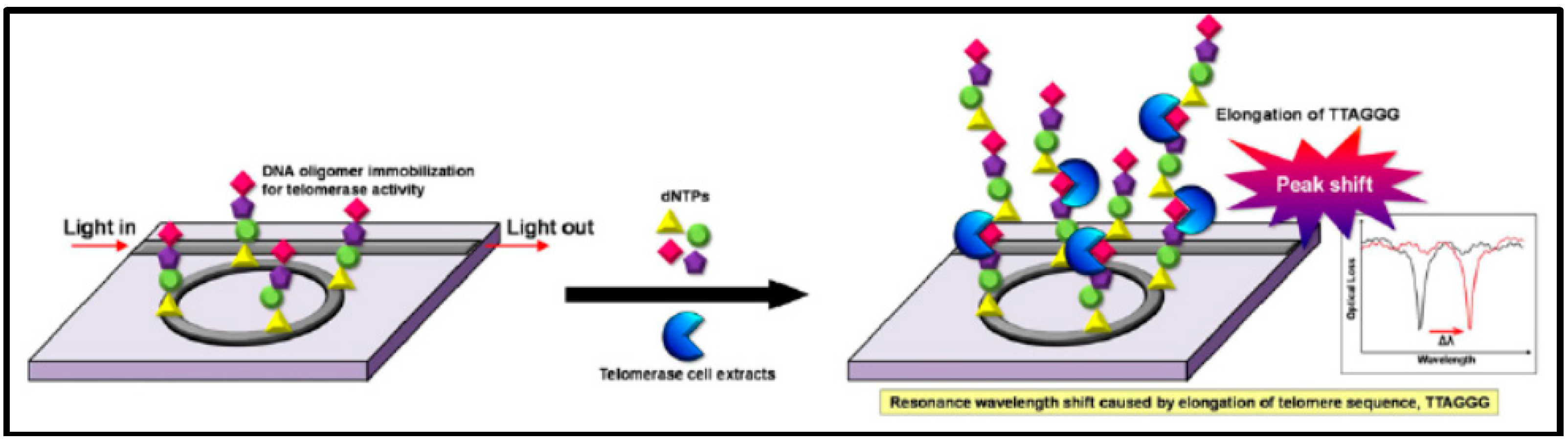 Sensors 17 02095 g015 550