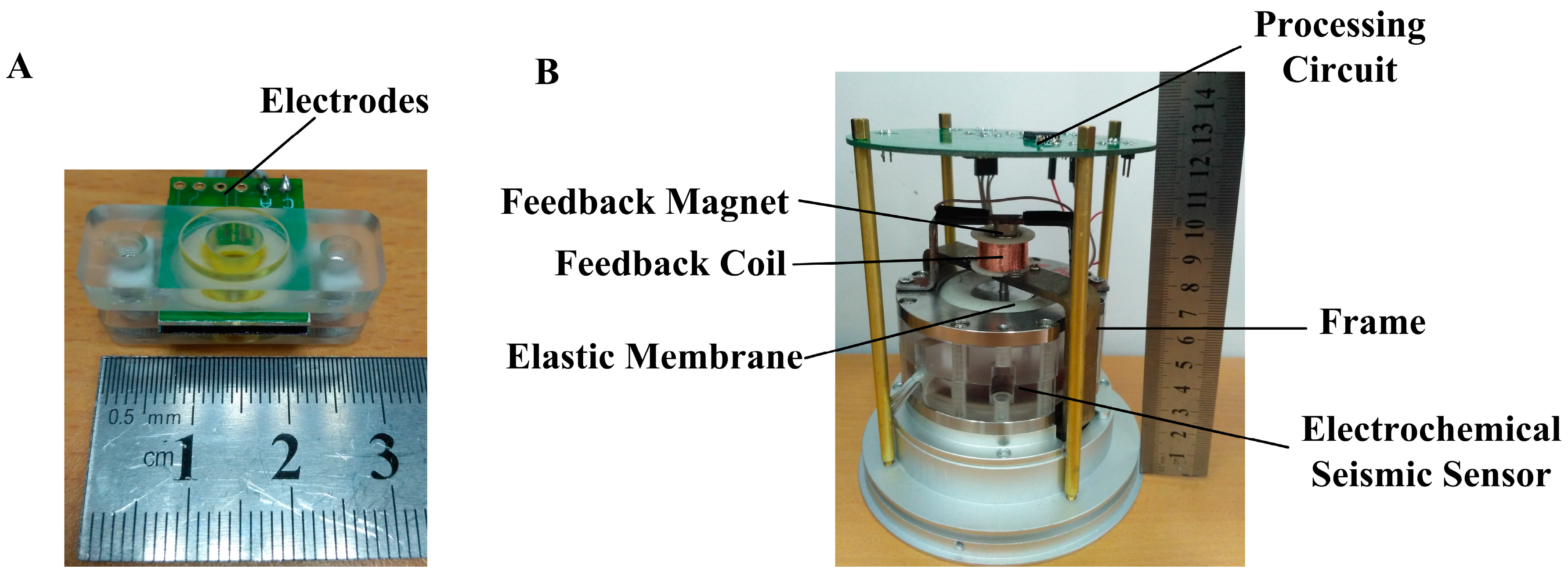 Sensors Free FullText An Electrochemical, LowFrequency Seismic