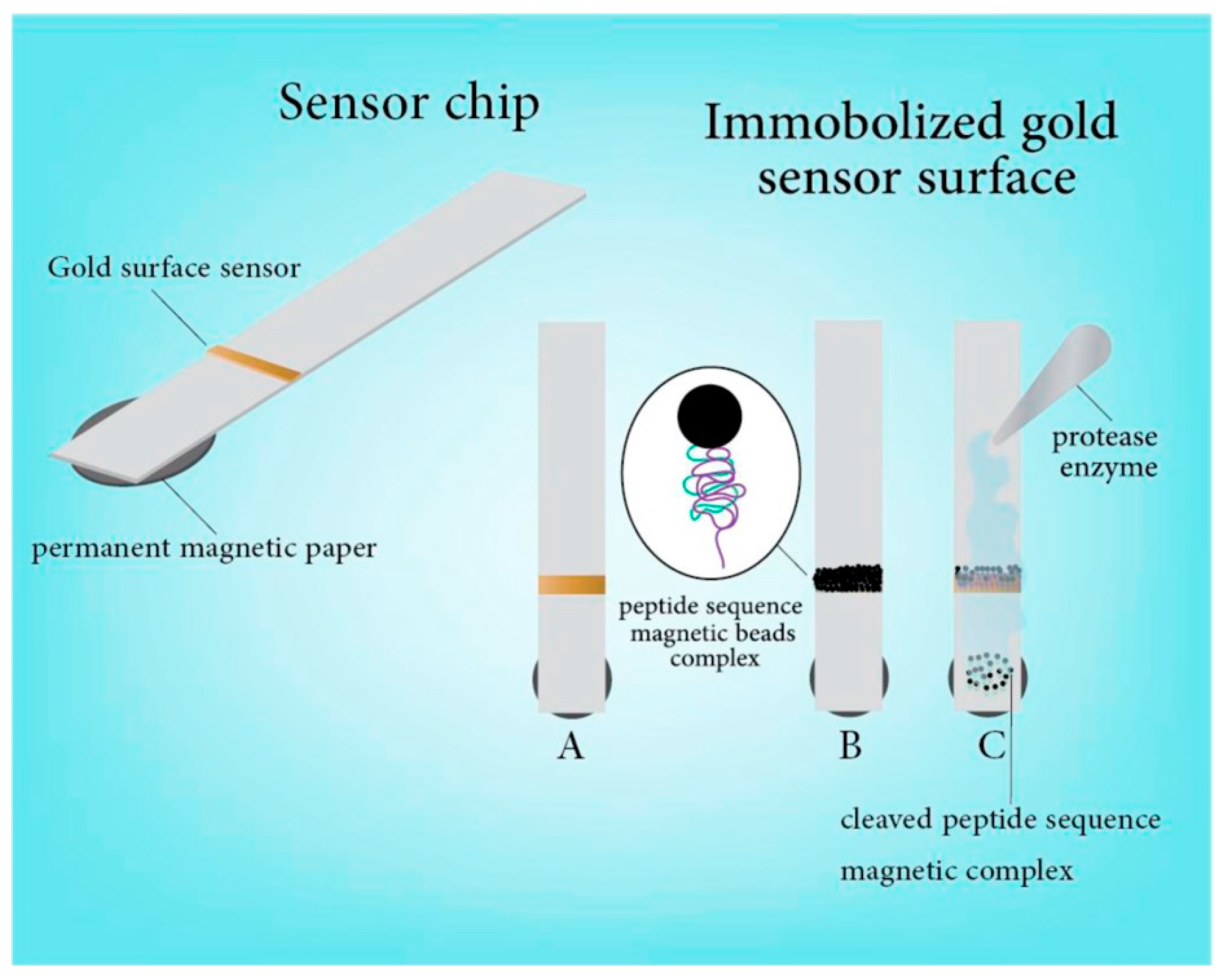 Sensors Free Full Text Multifunctional Nanotechnology Enabled