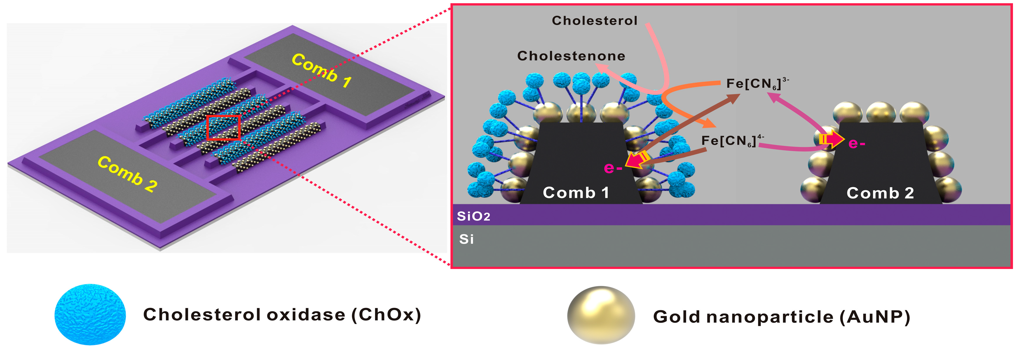 Sensors Free FullText Development of a Sensitive Electrochemical