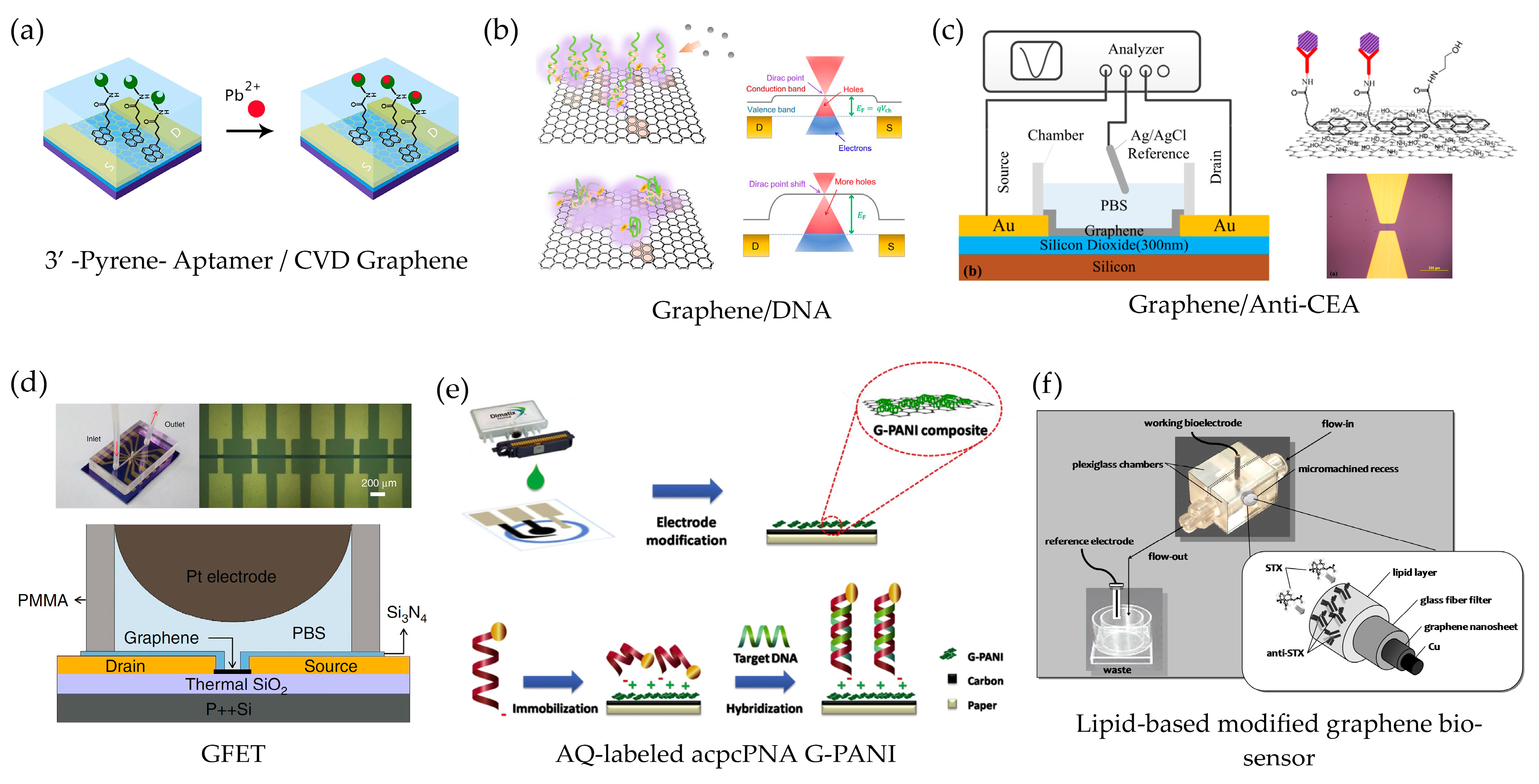 Sensors 17 02161 g007