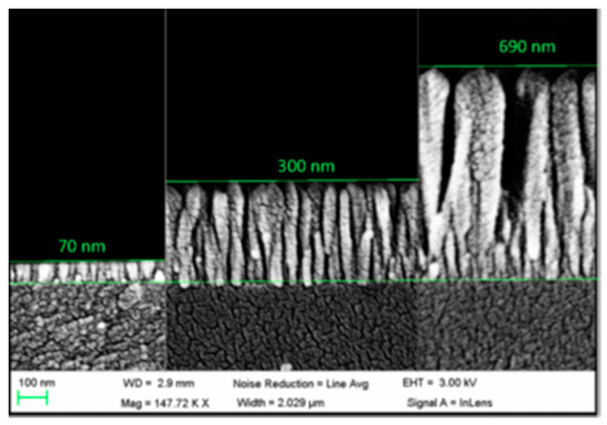 Micro and Nanostructured Materials for the Development of