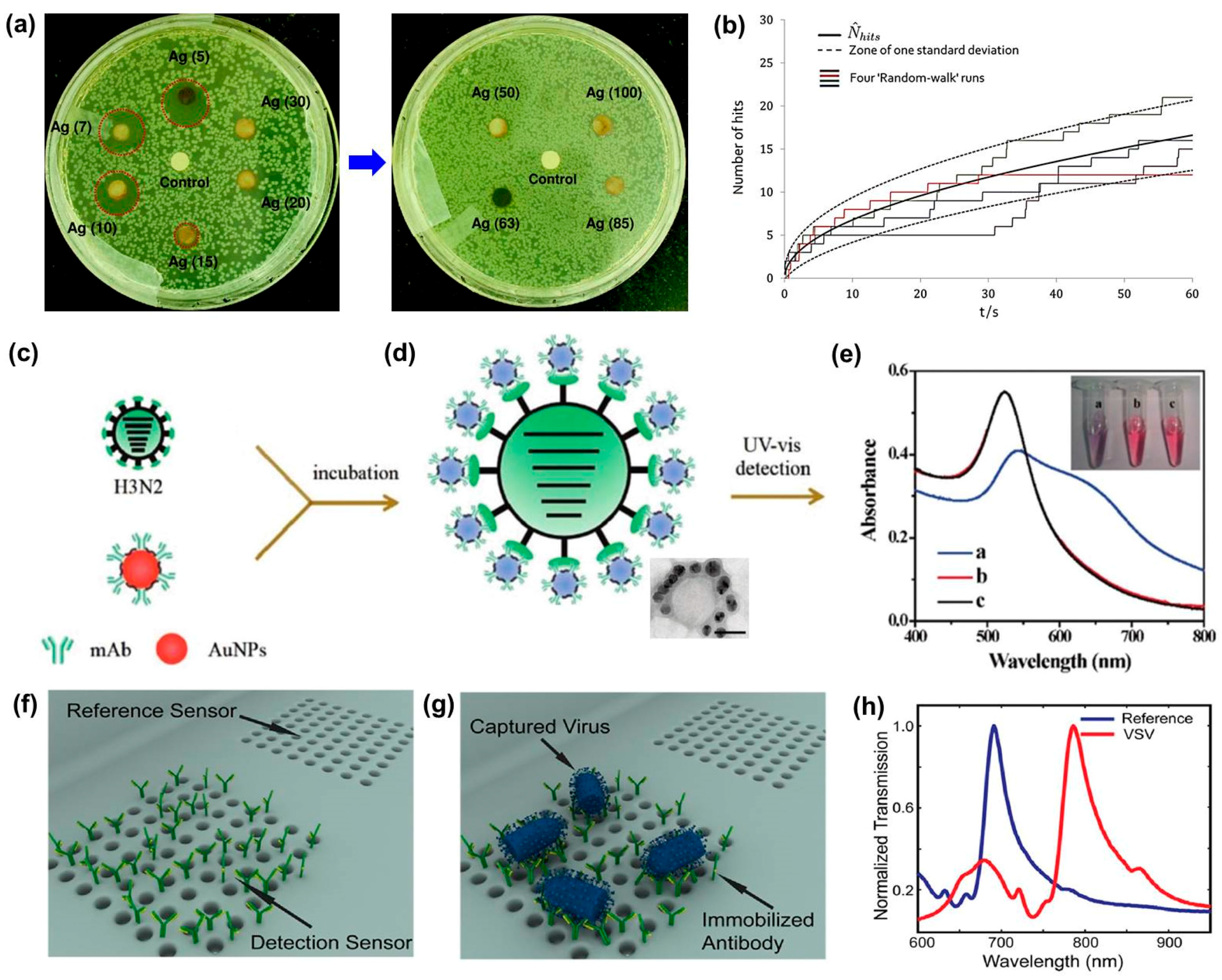 Sensors 17 02316 g001