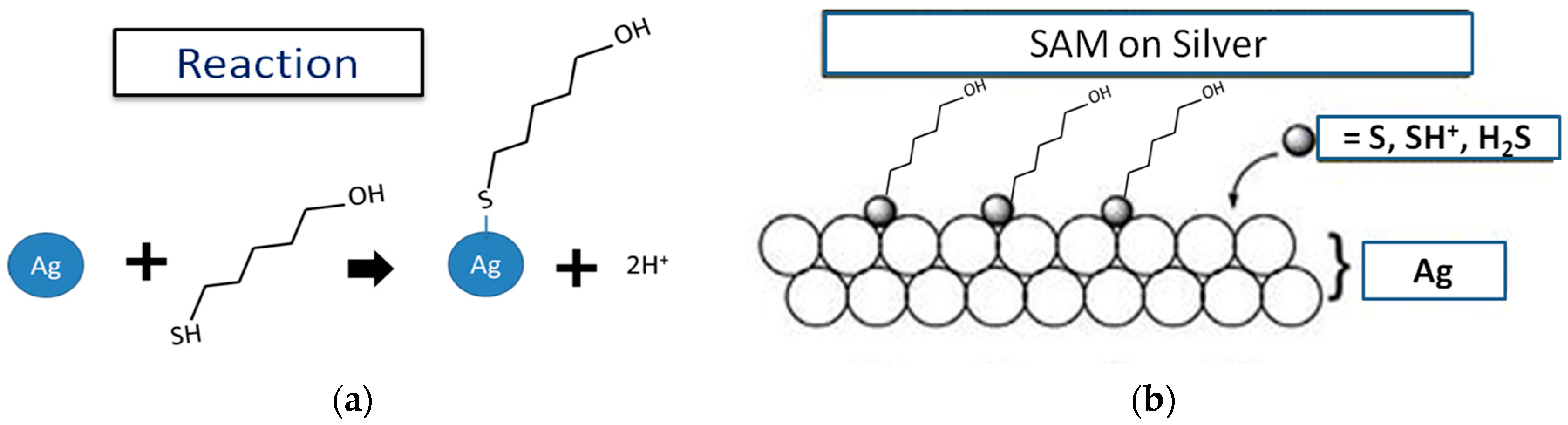 Sensors 17 02326 g003 550