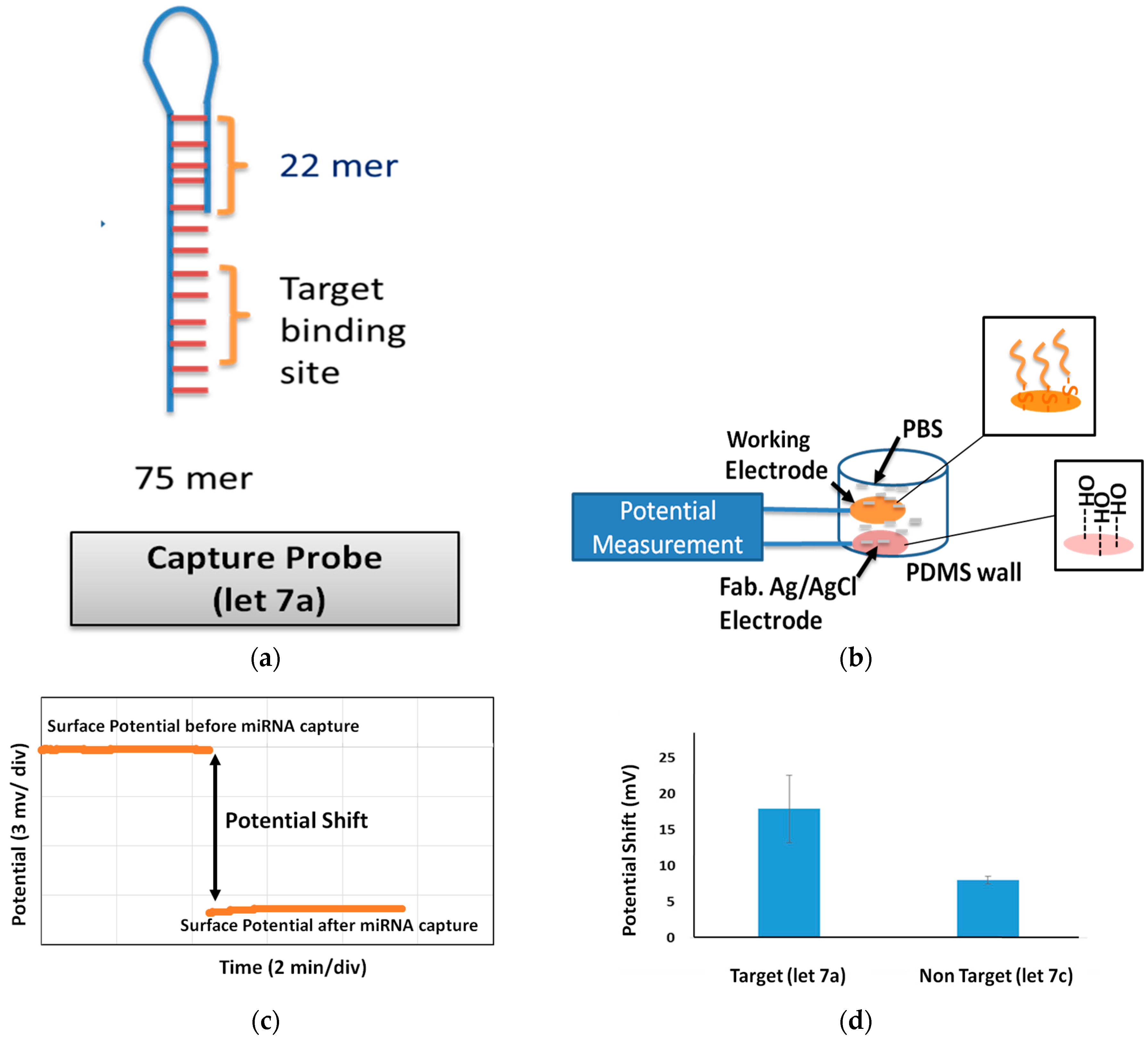 Sensors 17 02326 g007 550
