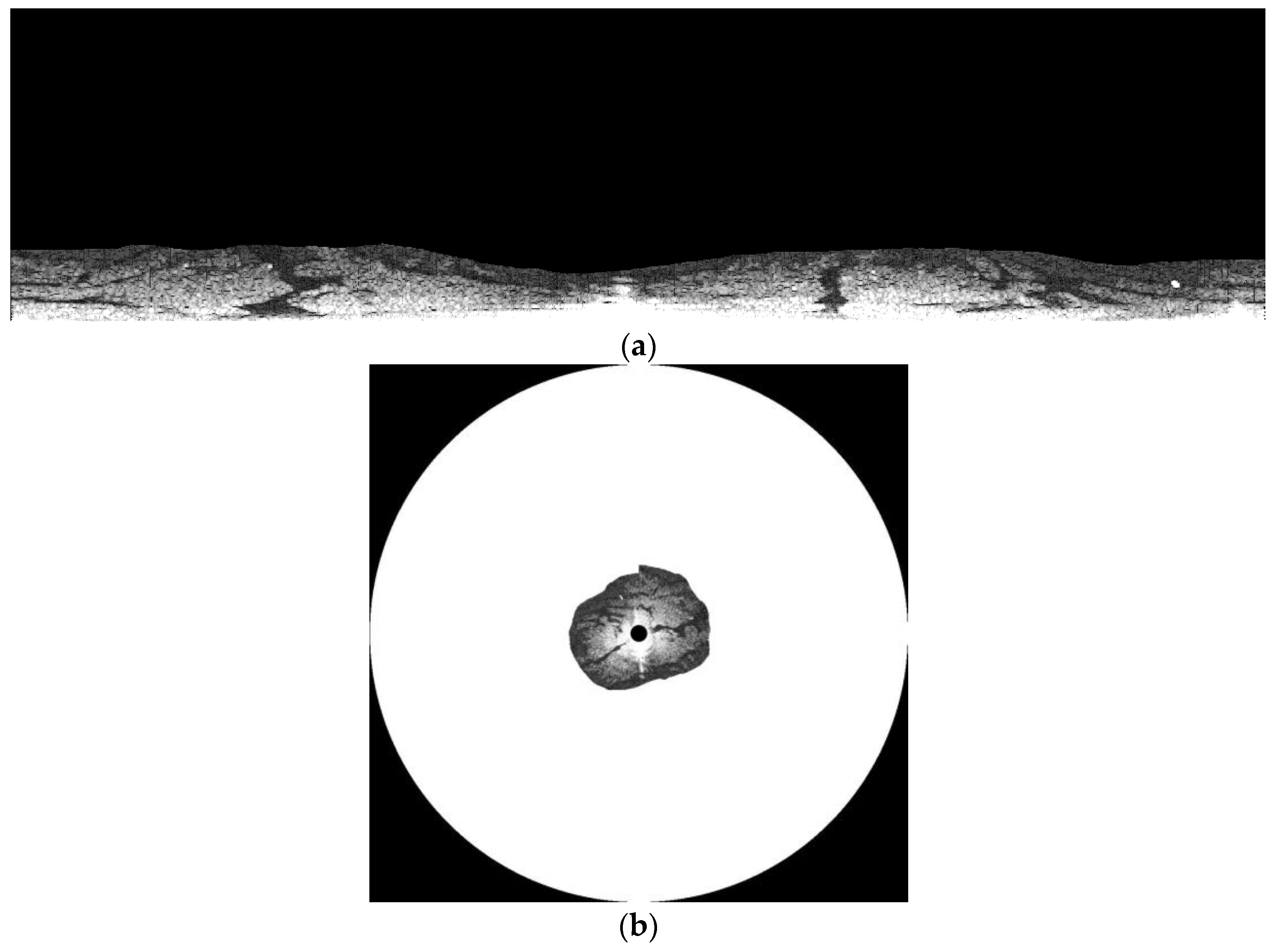 Sensors 17 02349 g009