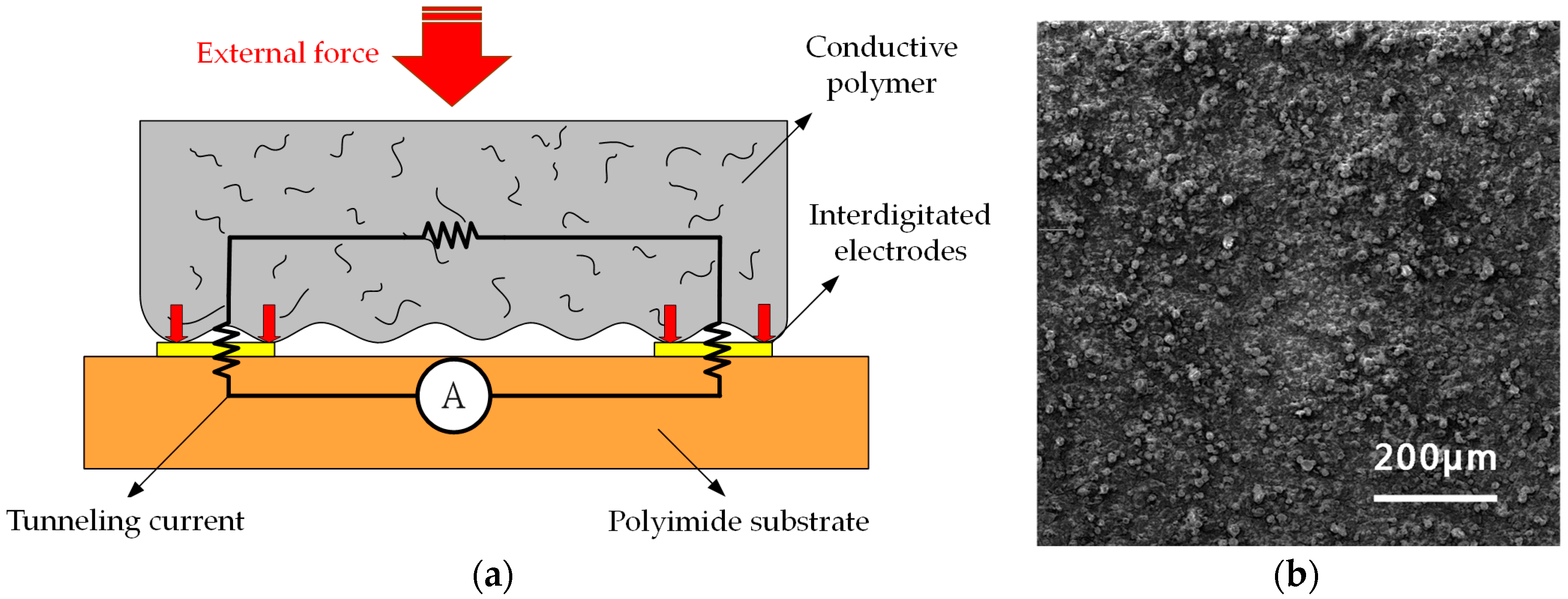 Sensors 17 02358 g002