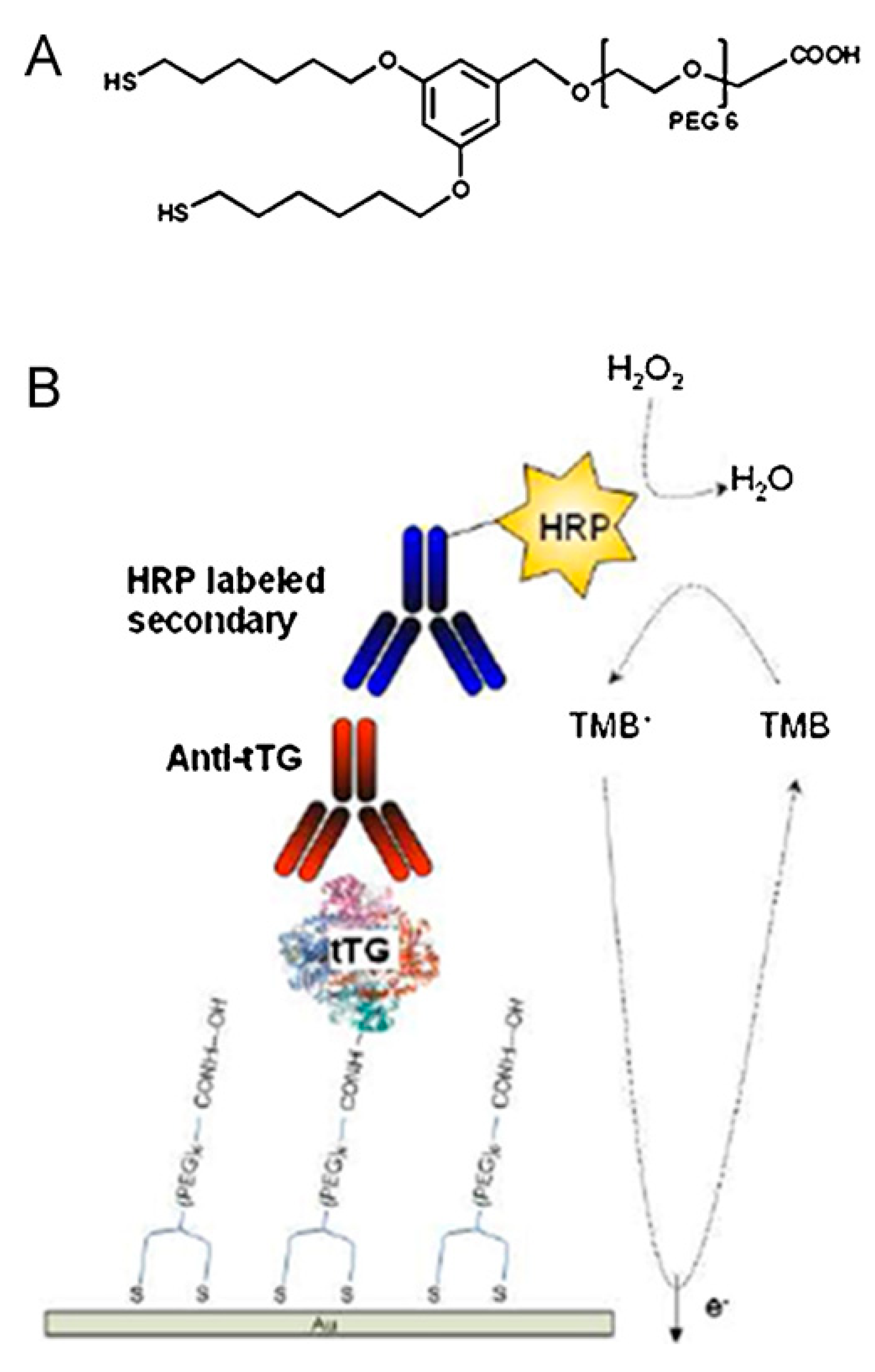 Sensors 17 02375 g006 Sensors 17 02375 g006