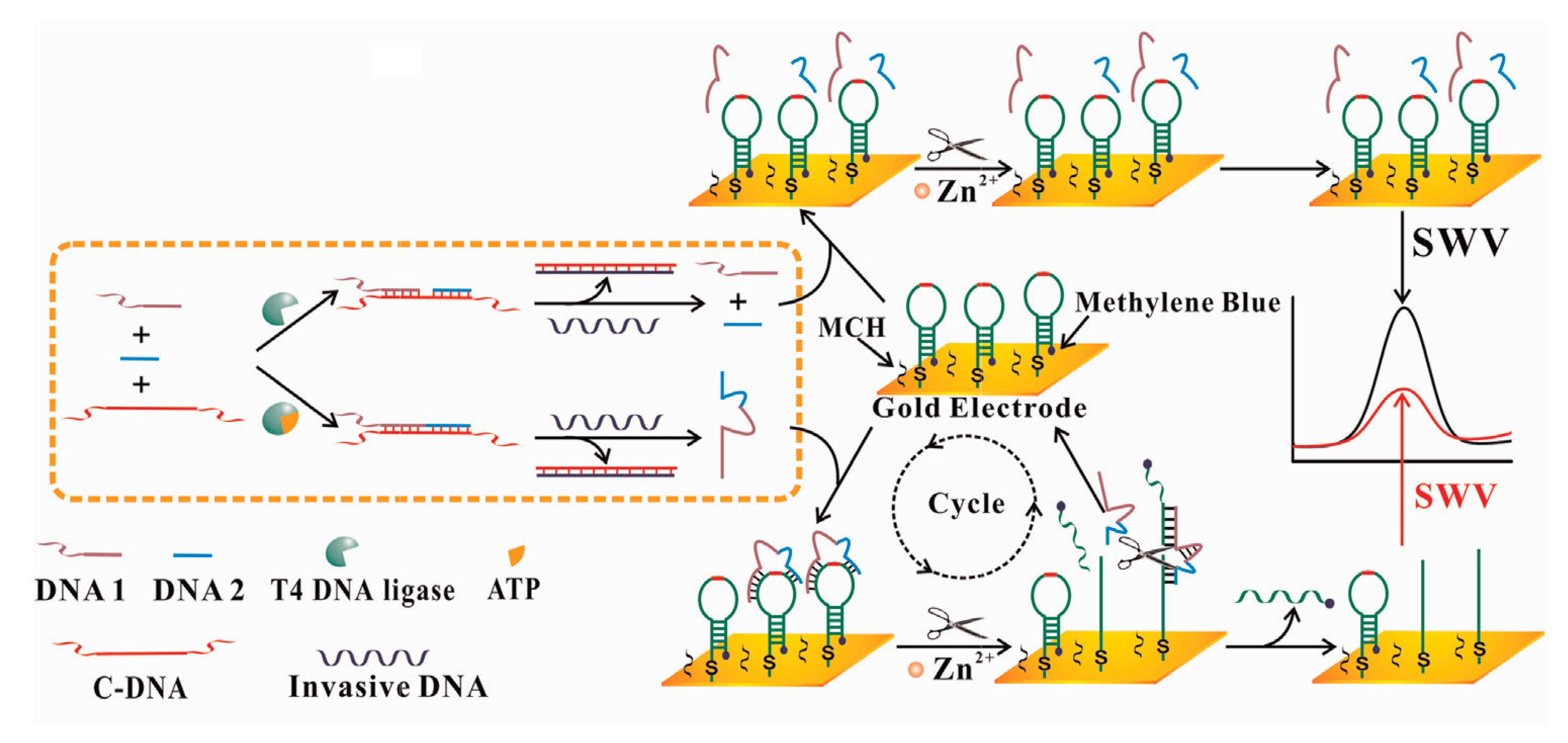 Sensors 17 02375 g013 Sensors 17 02375 g013