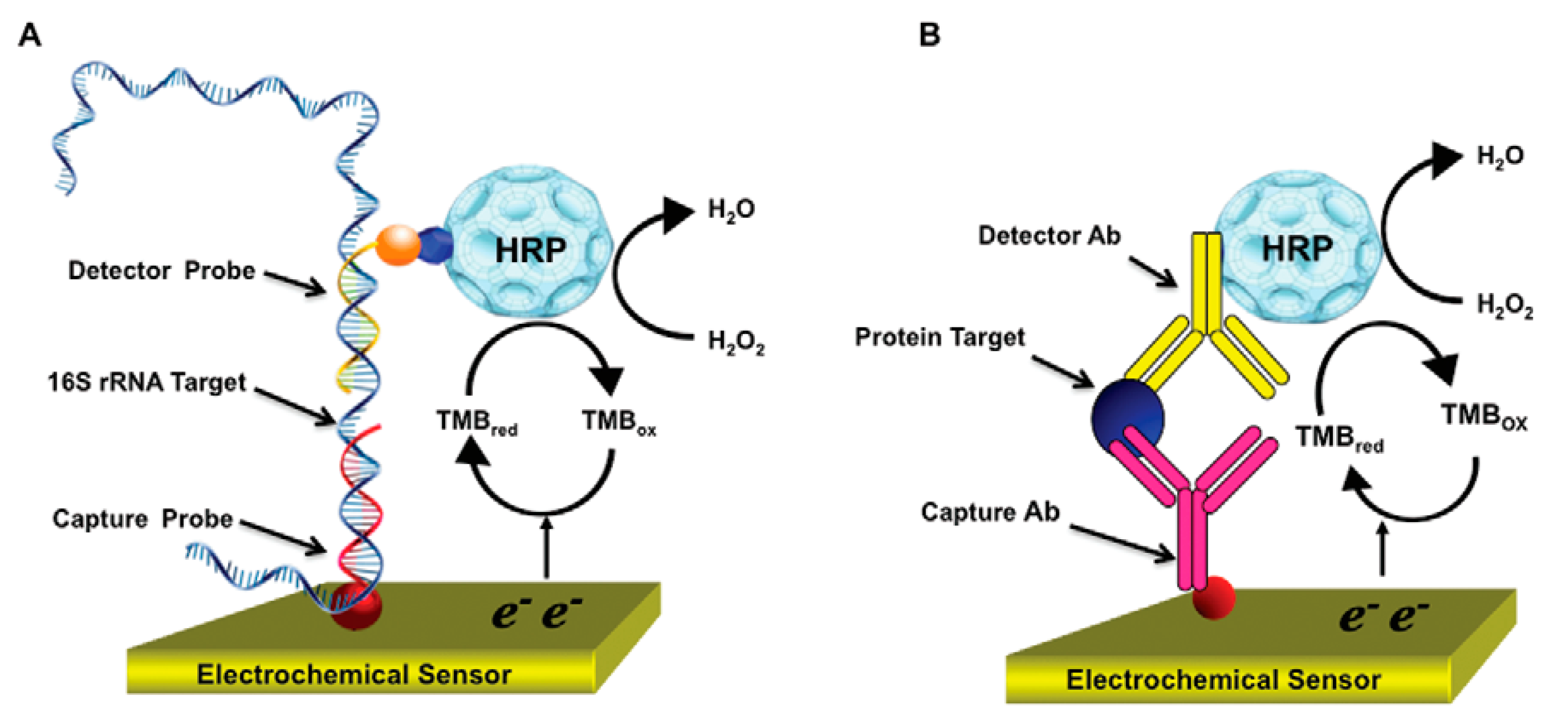 Electrochemical sensors Electrochemical sensors