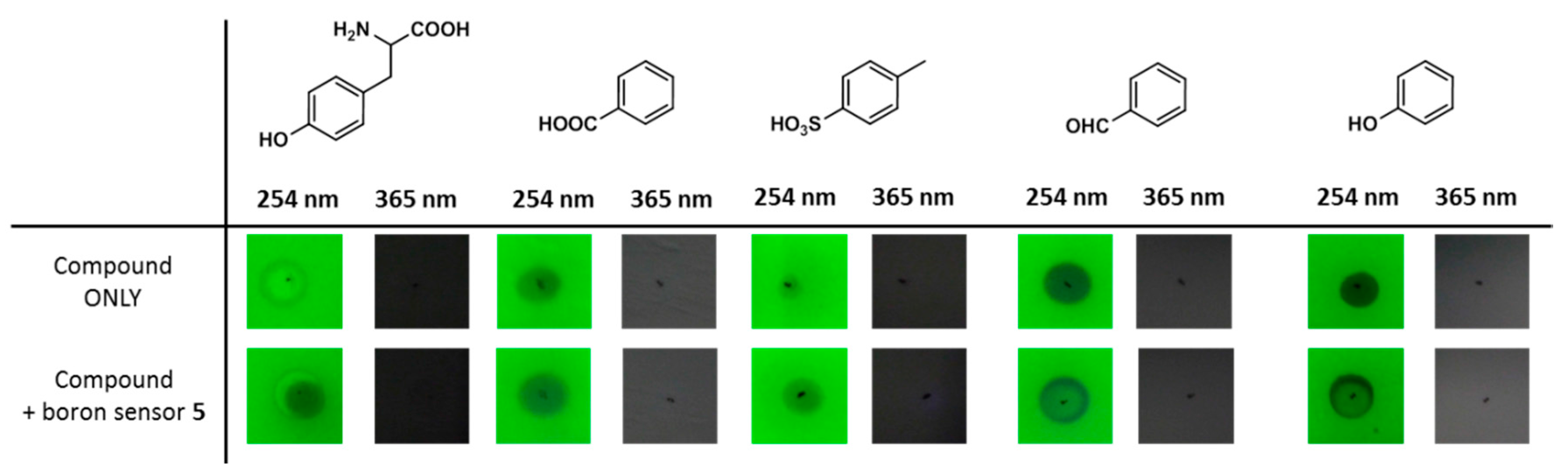 Sensors 17 02436 g006
