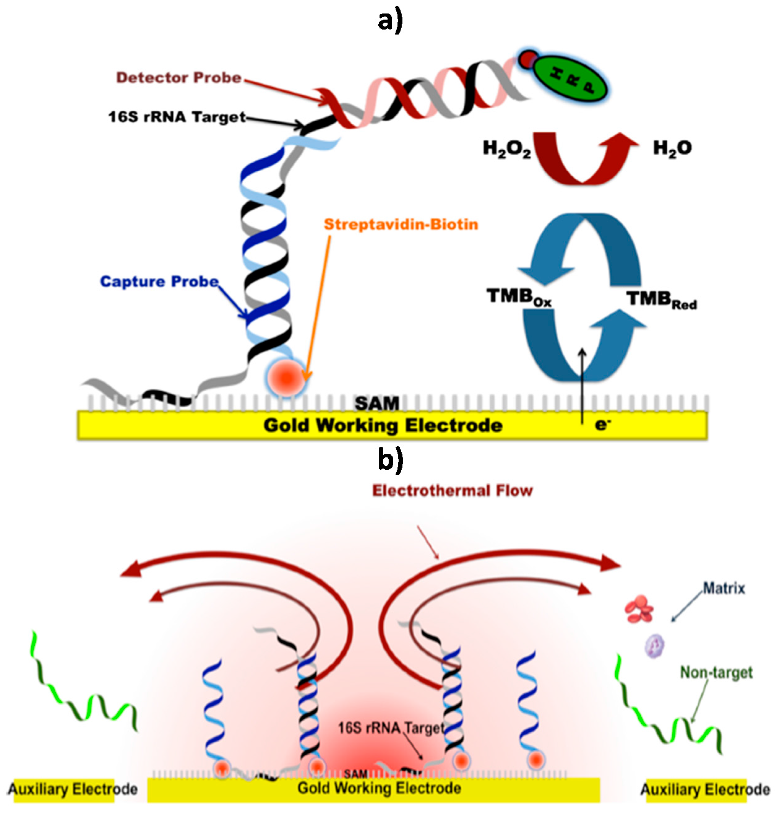 Sensors 17 02533 g004 Sensors 17 02533 g004