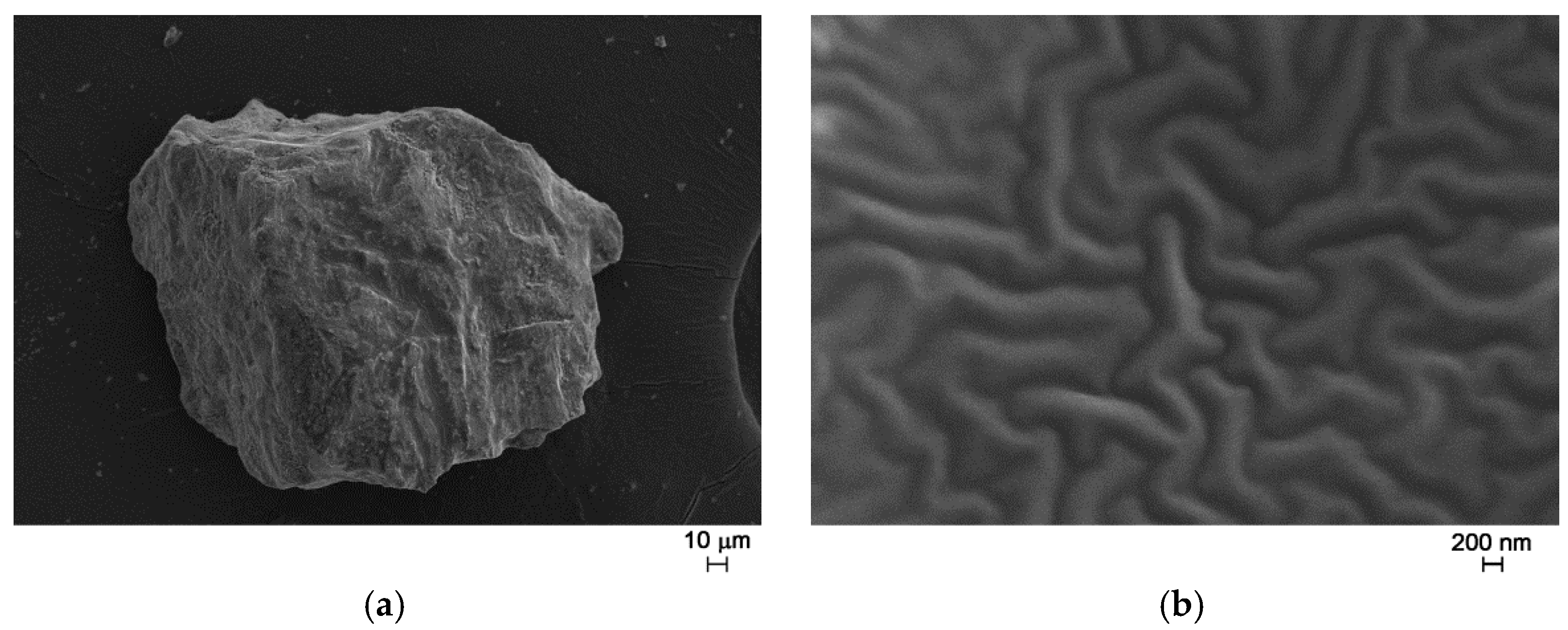 Sensors 17 02538 g007 550