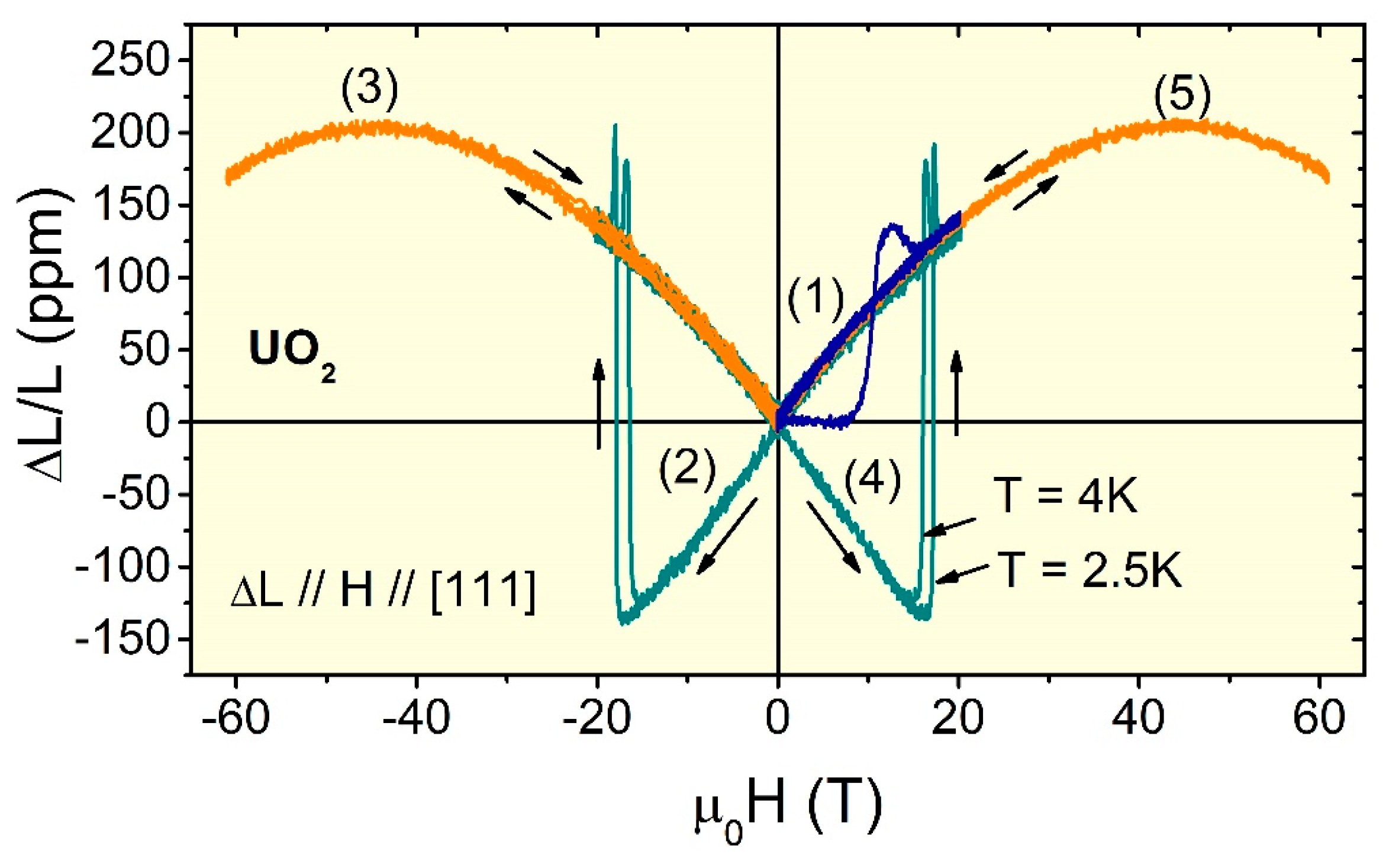 Sensors Free Full Text Fiber Bragg Grating Dilatometry In Extreme Magnetic Field And Cryogenic Conditions Html