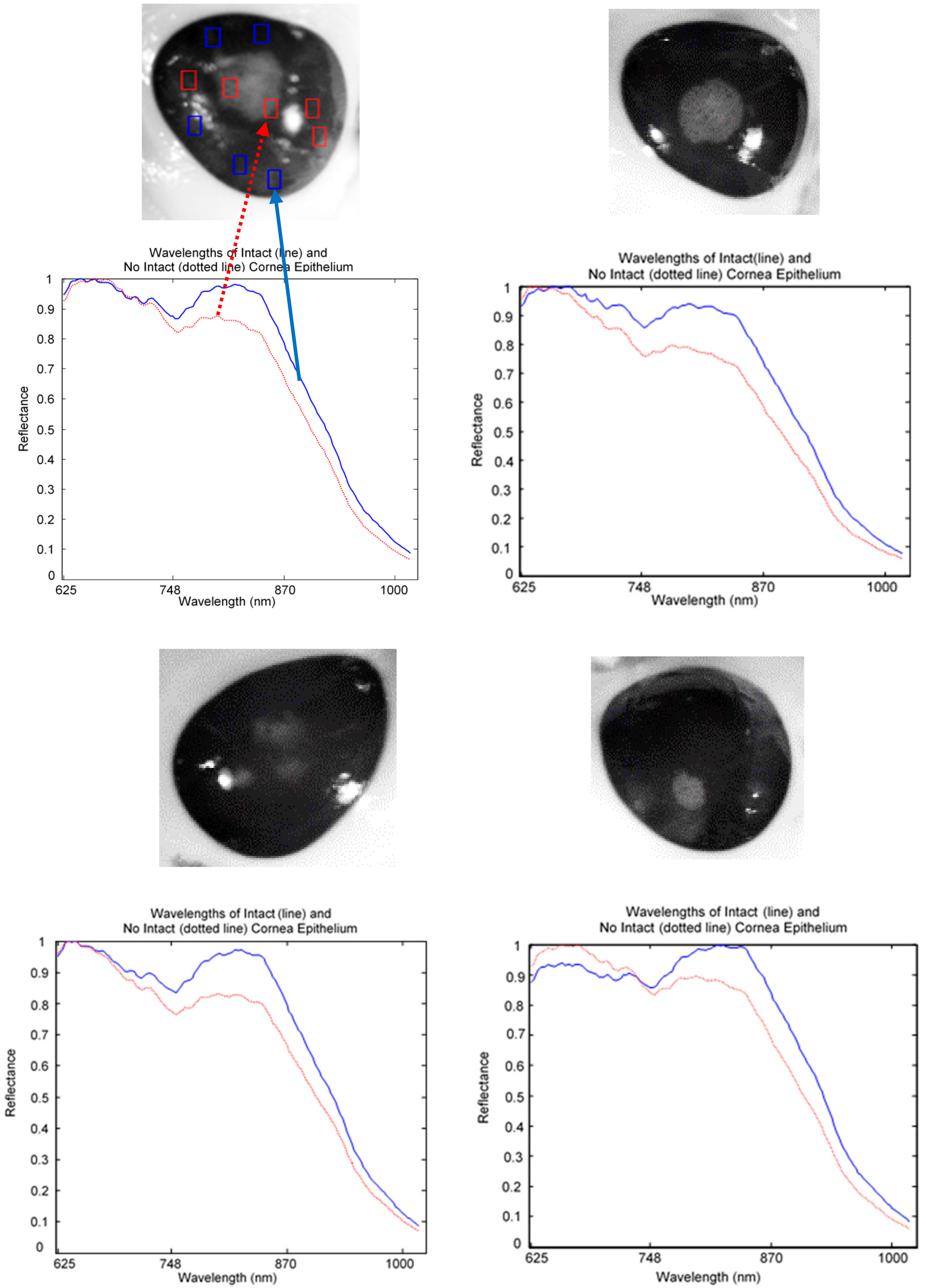 Sensors 17 02644 g009 550