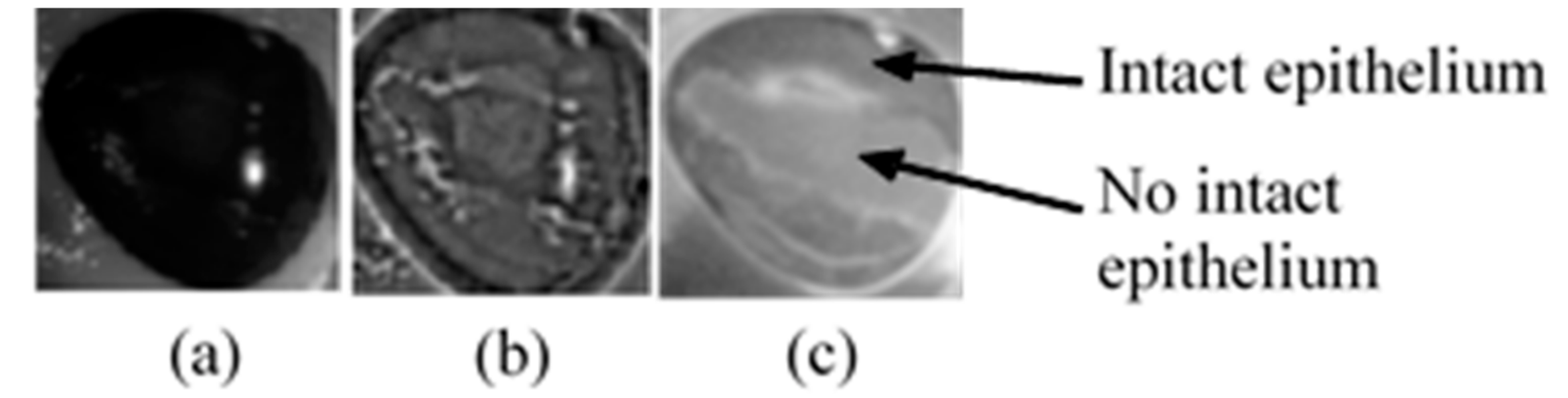 Sensors 17 02644 g016 550