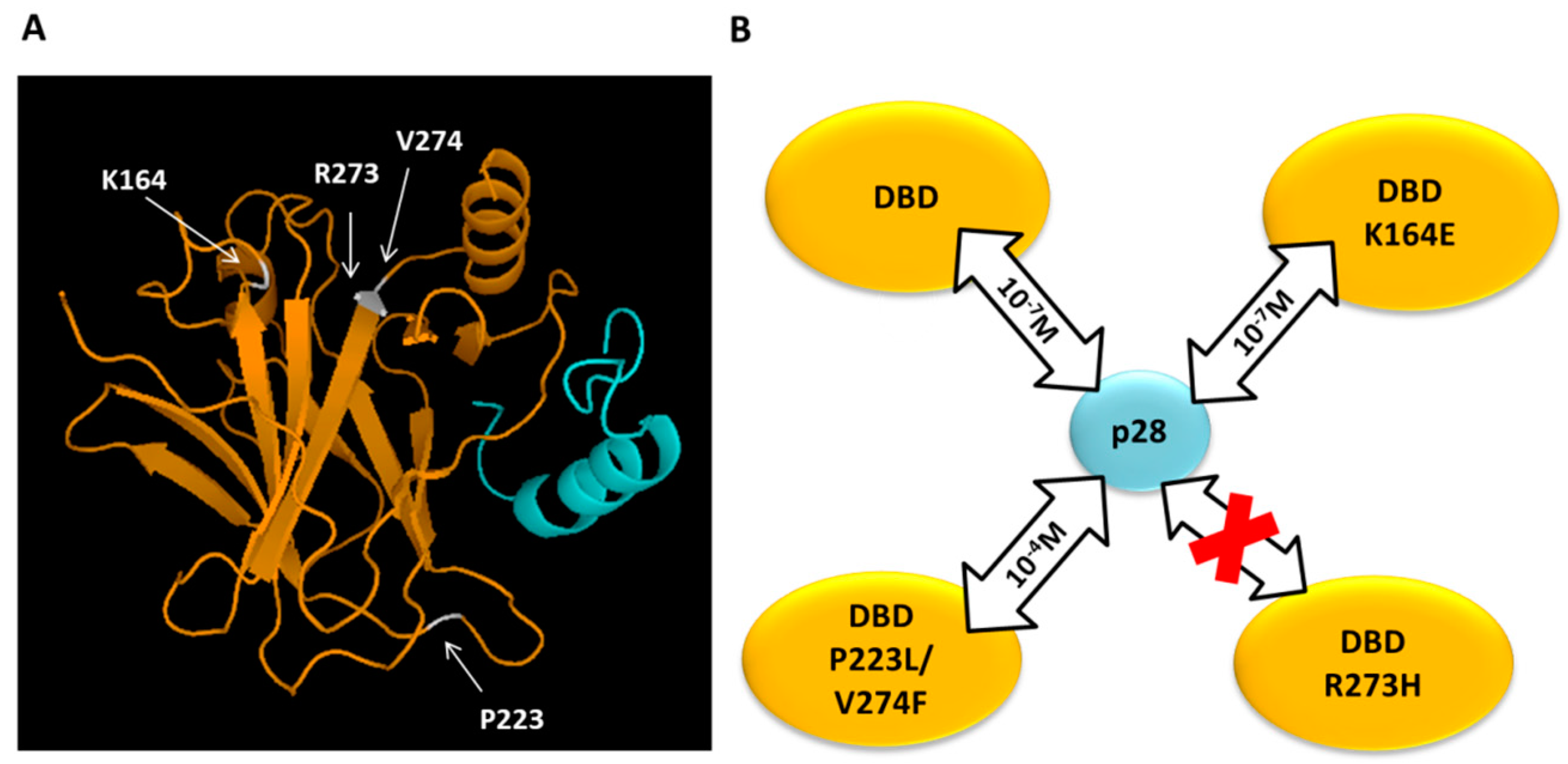 Sensors 17 02680 g007 Sensors 17 02680 g007