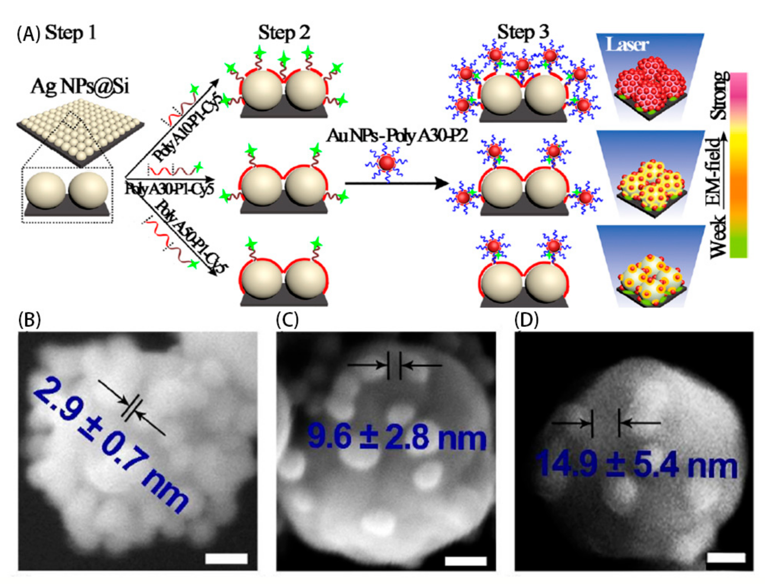 Sensors 17 02689 g006 550