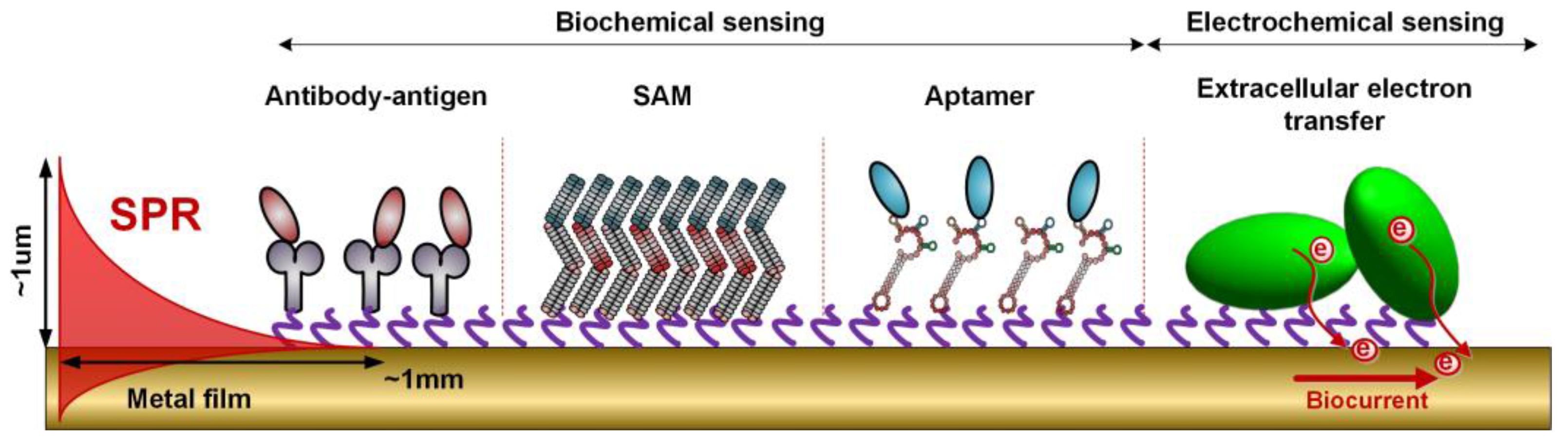 Sensors 17 02732 g009