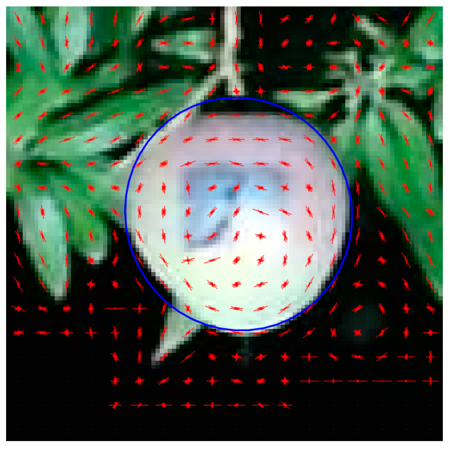 Sensors 17 02738 g001