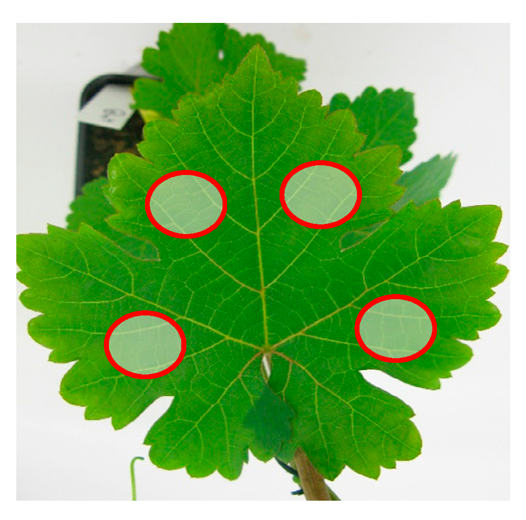 Sensors 17 02772 g003 550