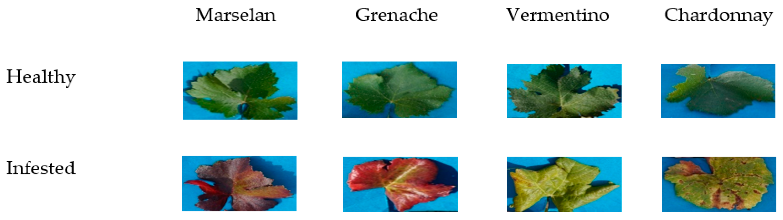 Sensors 17 02772 g008 550